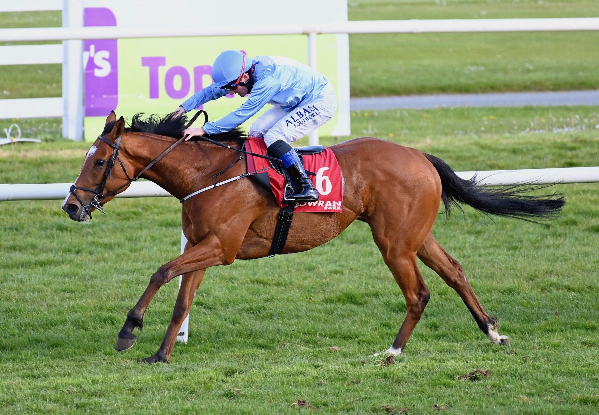 Too Soon To Panic (Gleneagles) Wins The Listed Victor Mc Calmont Memorial Stakes At Gowran Park