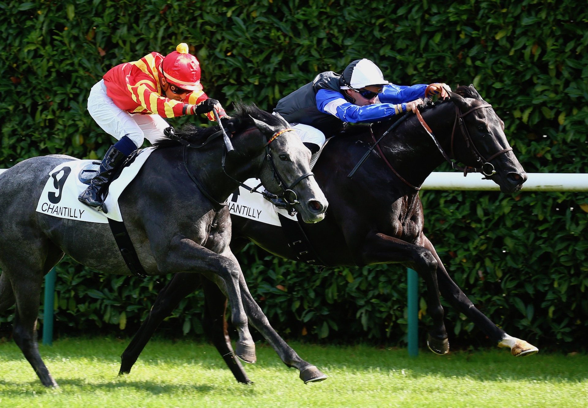 Topgear (Wootton Bassett) Lands The Group 3 Prix Eclipse at Chantilly