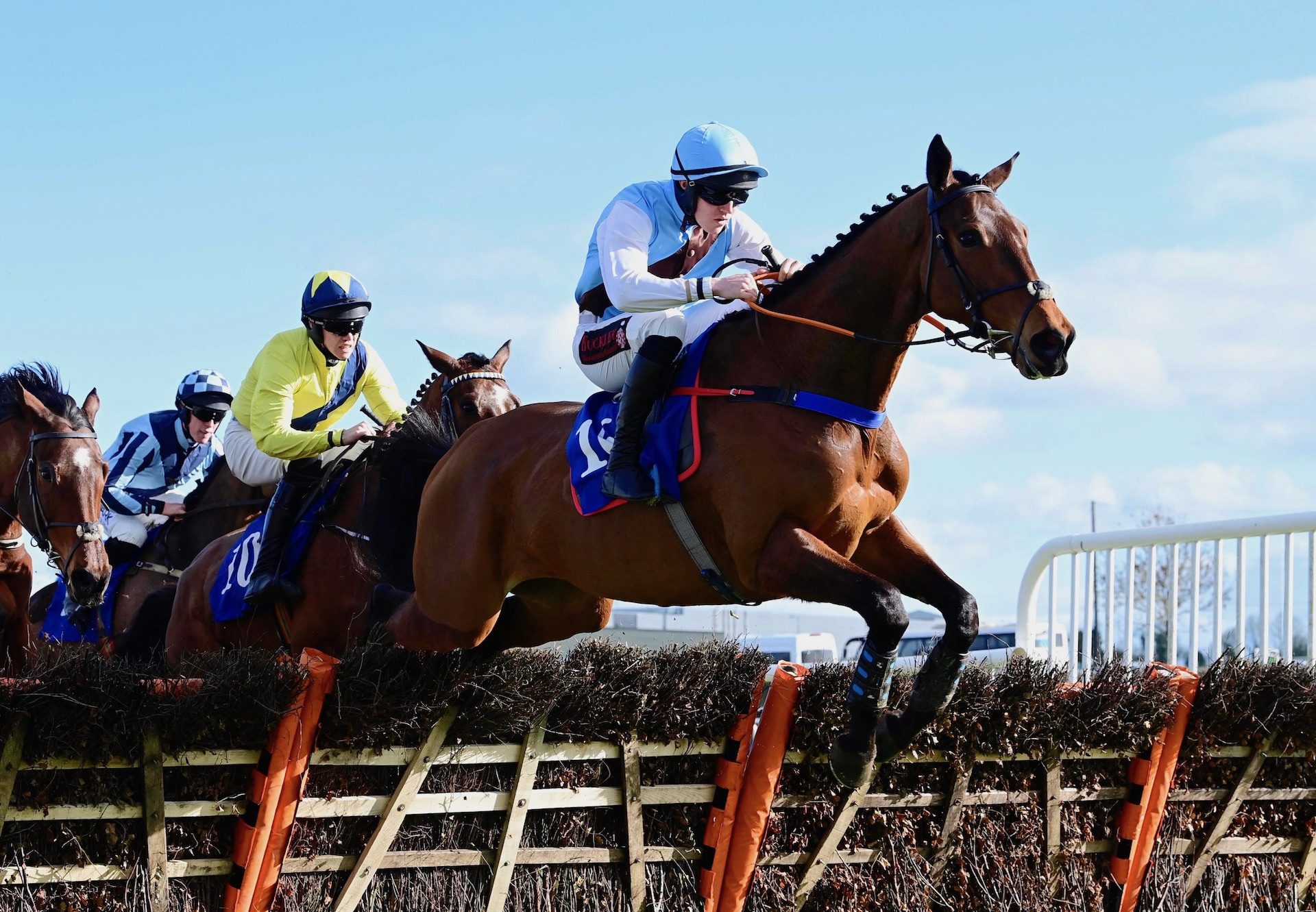 Tophill Low (Walk In The Park) Wins The Maiden Hurdle At Thurles