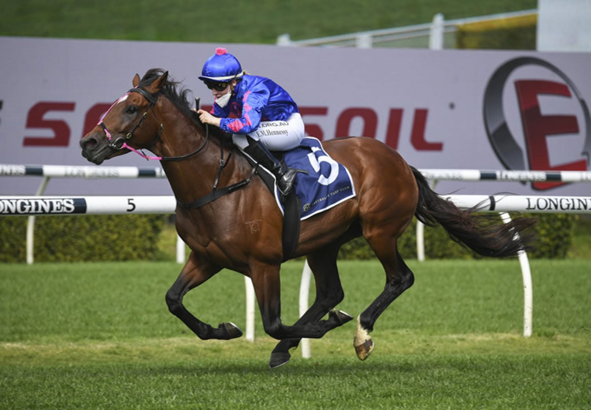 Torrens (Adelaide) winning at Randwick