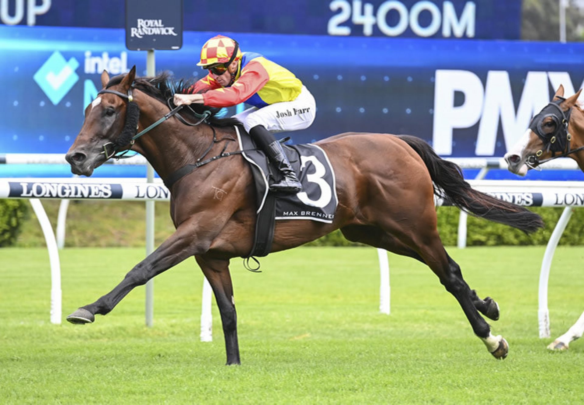 Torrens (Adelaide) winning the Listed Christmas Cup at Randwick