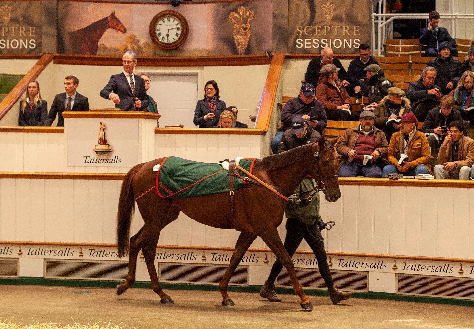 Tranquil Lady (Australia) selling for 2,700,000gns at Tattersalls