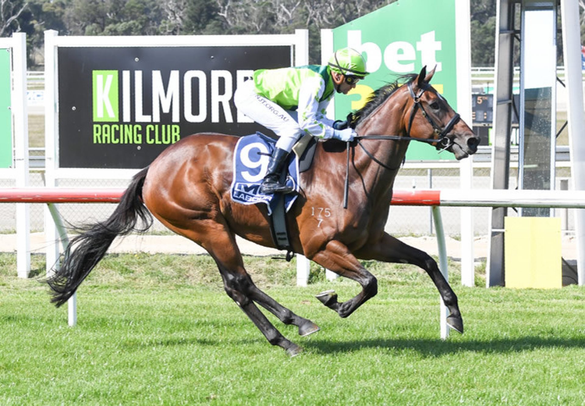 Transplant (Pride Of Dubai) winning at Kilmore