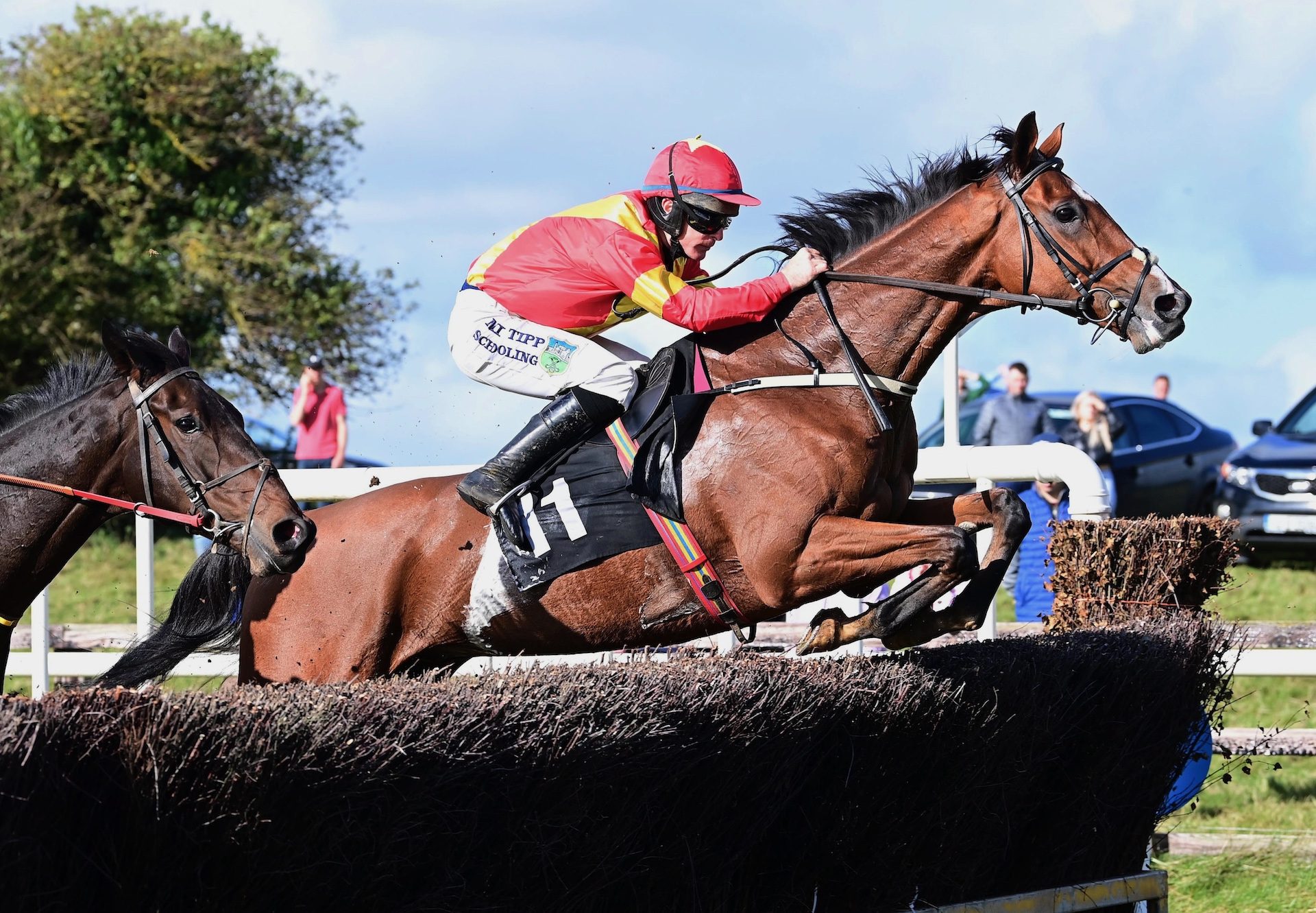 Trasna Na Pairce (Walk In The Park)  Wins At Castletown