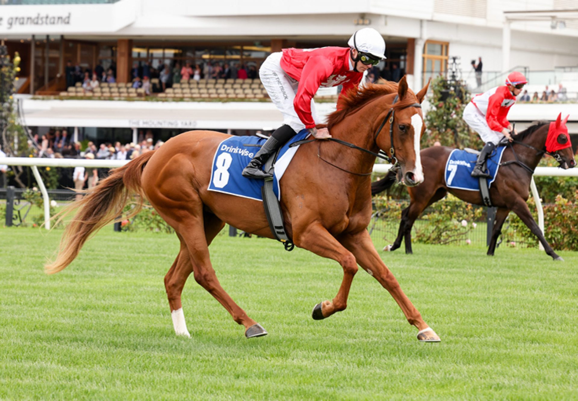 Treasurway (Justify) winning the Gr.3 SAJC Breeders Stakes