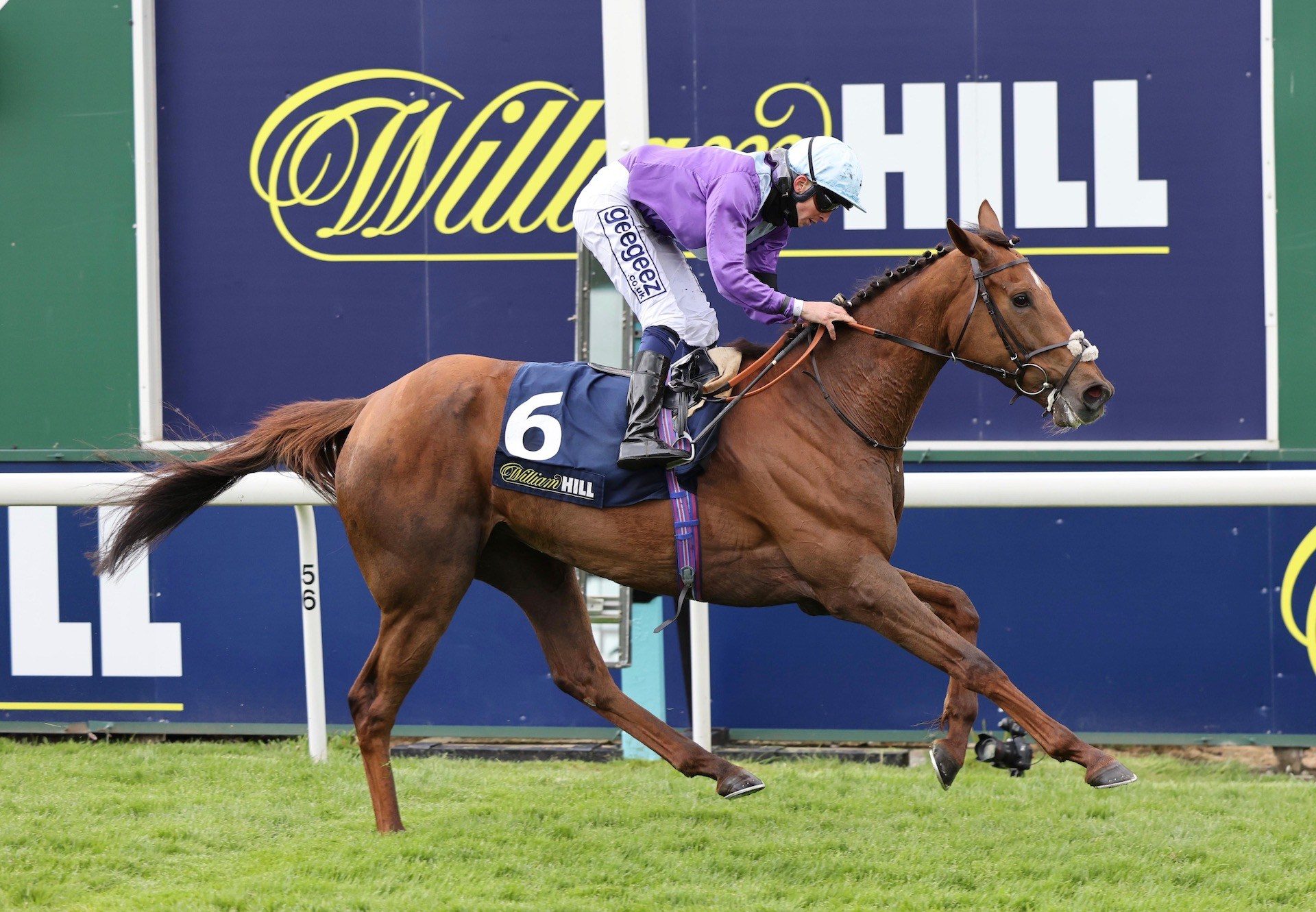 Tribal Craft (Mastercraftsman) Wins The Group 3 William Hill Bronte Cup Fillies Stakes At York