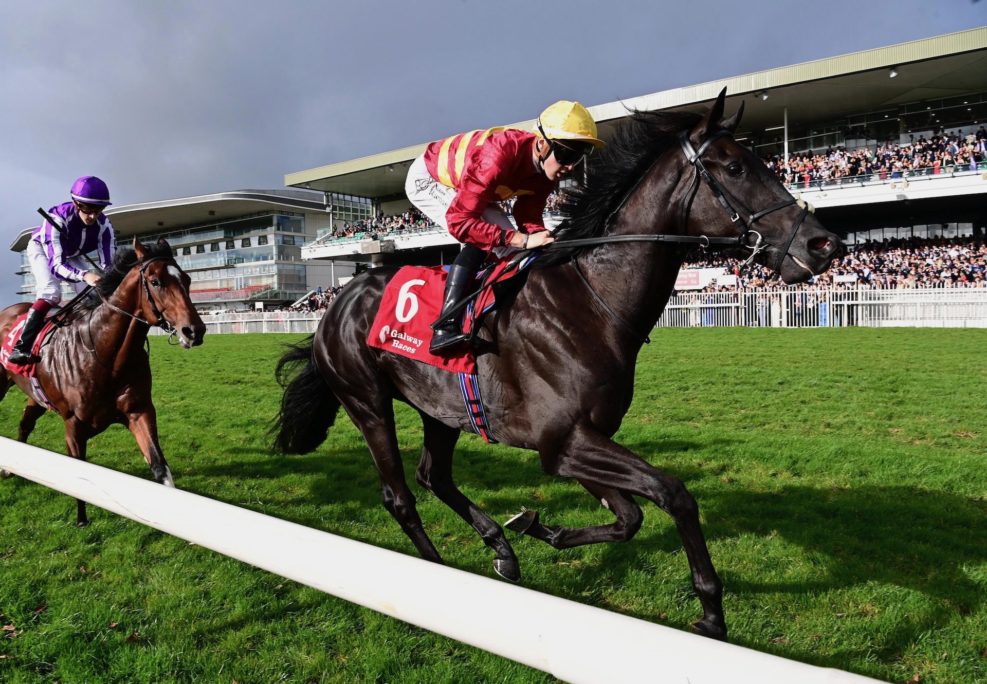 Tribal Nation (Wootton Bassett) Wins His Maiden At Galway