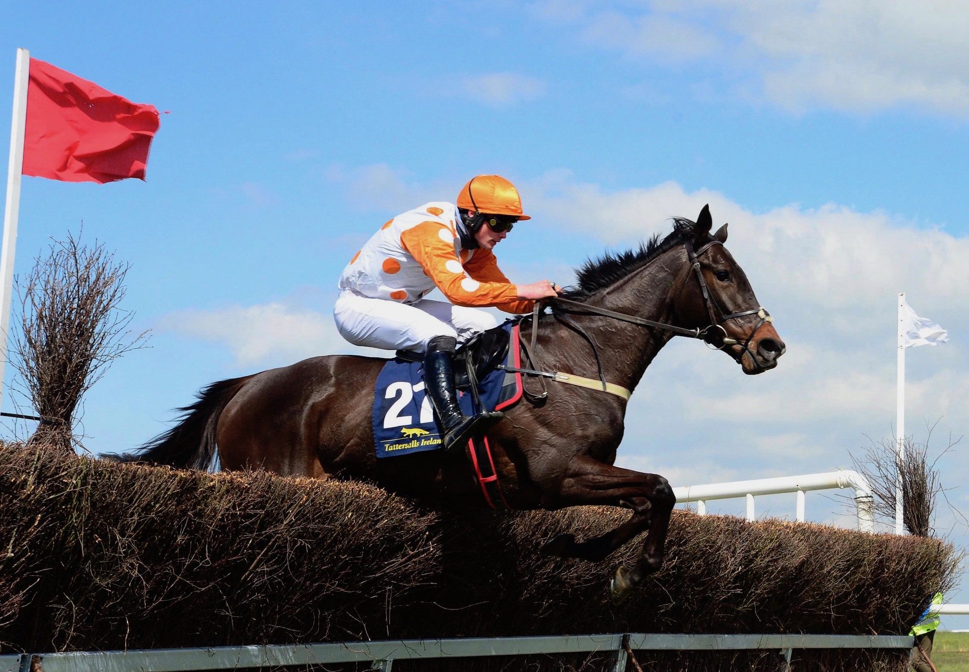 Trickalight (Leading Light) Wins The Five Year Old Mares Maiden At Fairyhouse