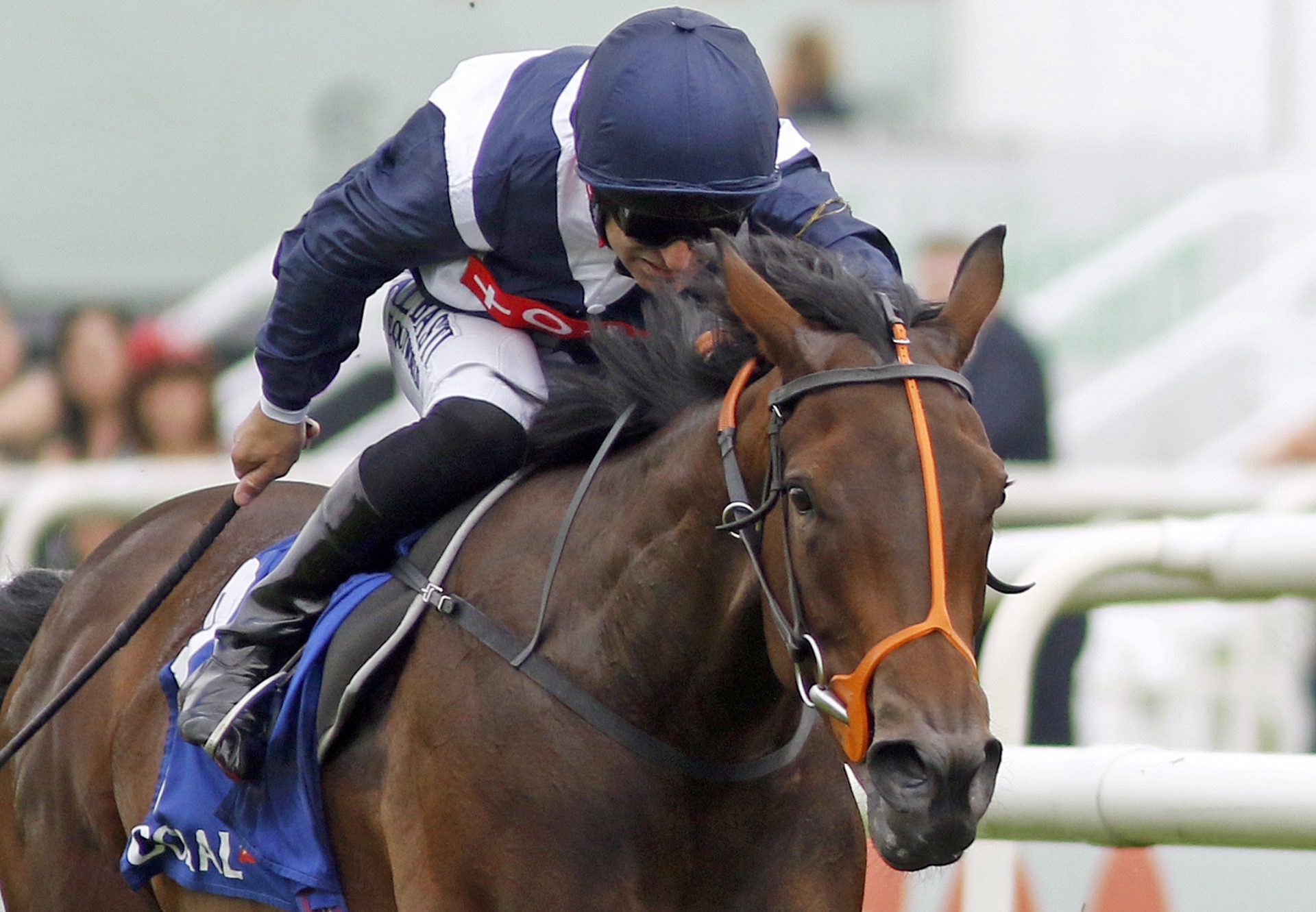 Trillium (No Nay Never) wins the Gr.2 Flying Childers Stakes at Doncaster