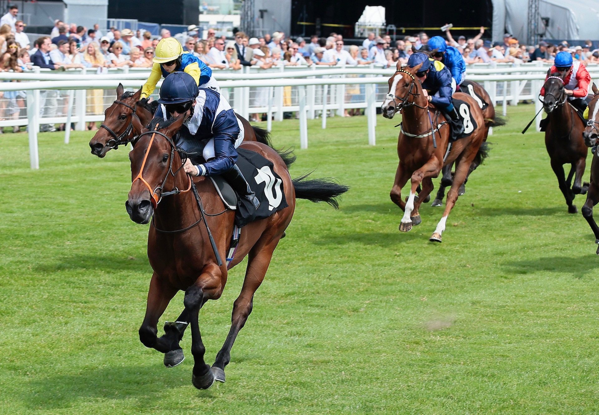 Trillium (No Nay Never) Impresses At Newbury