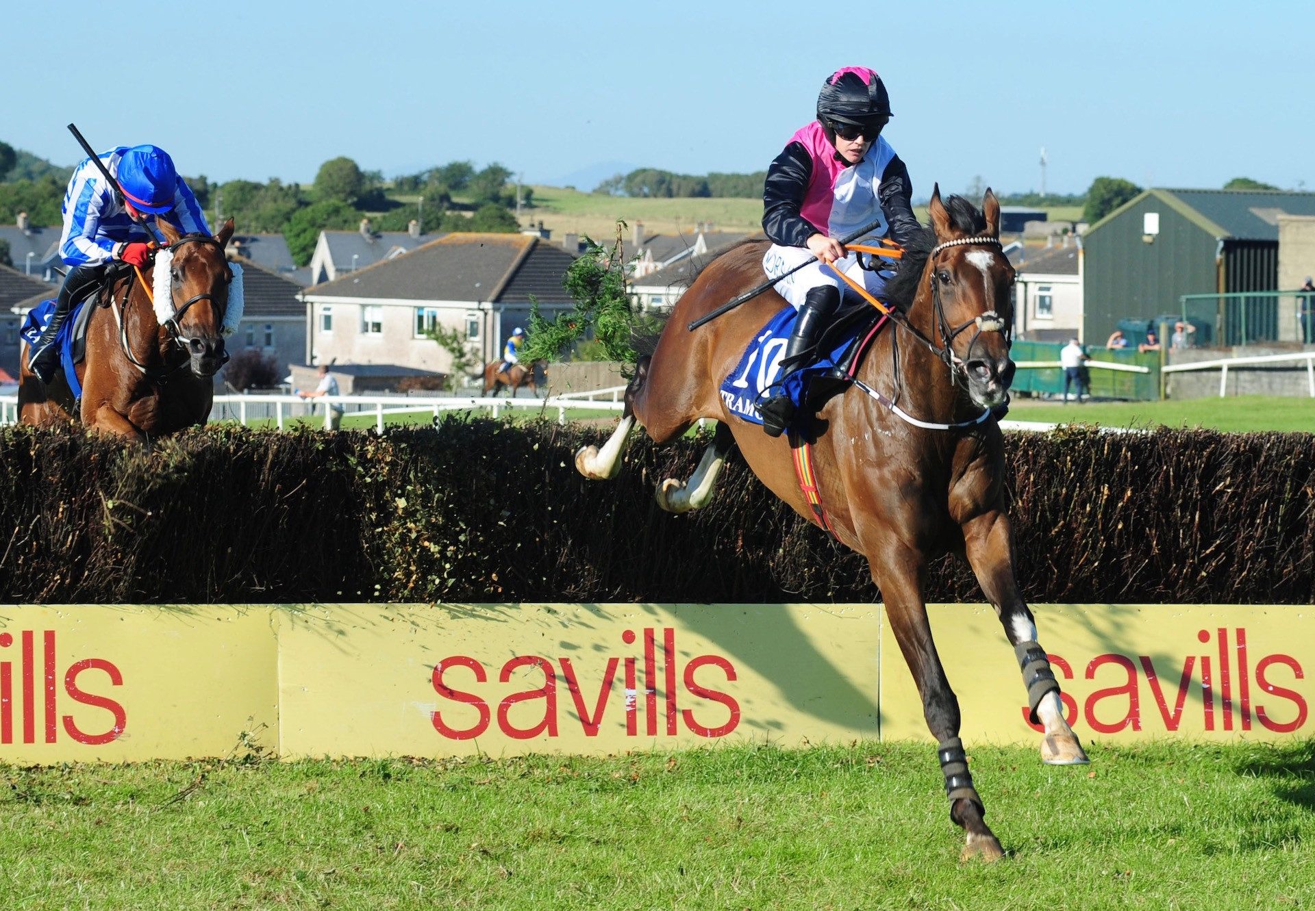 True Faith (Milan) Wins The Beginners Chase At Tramore