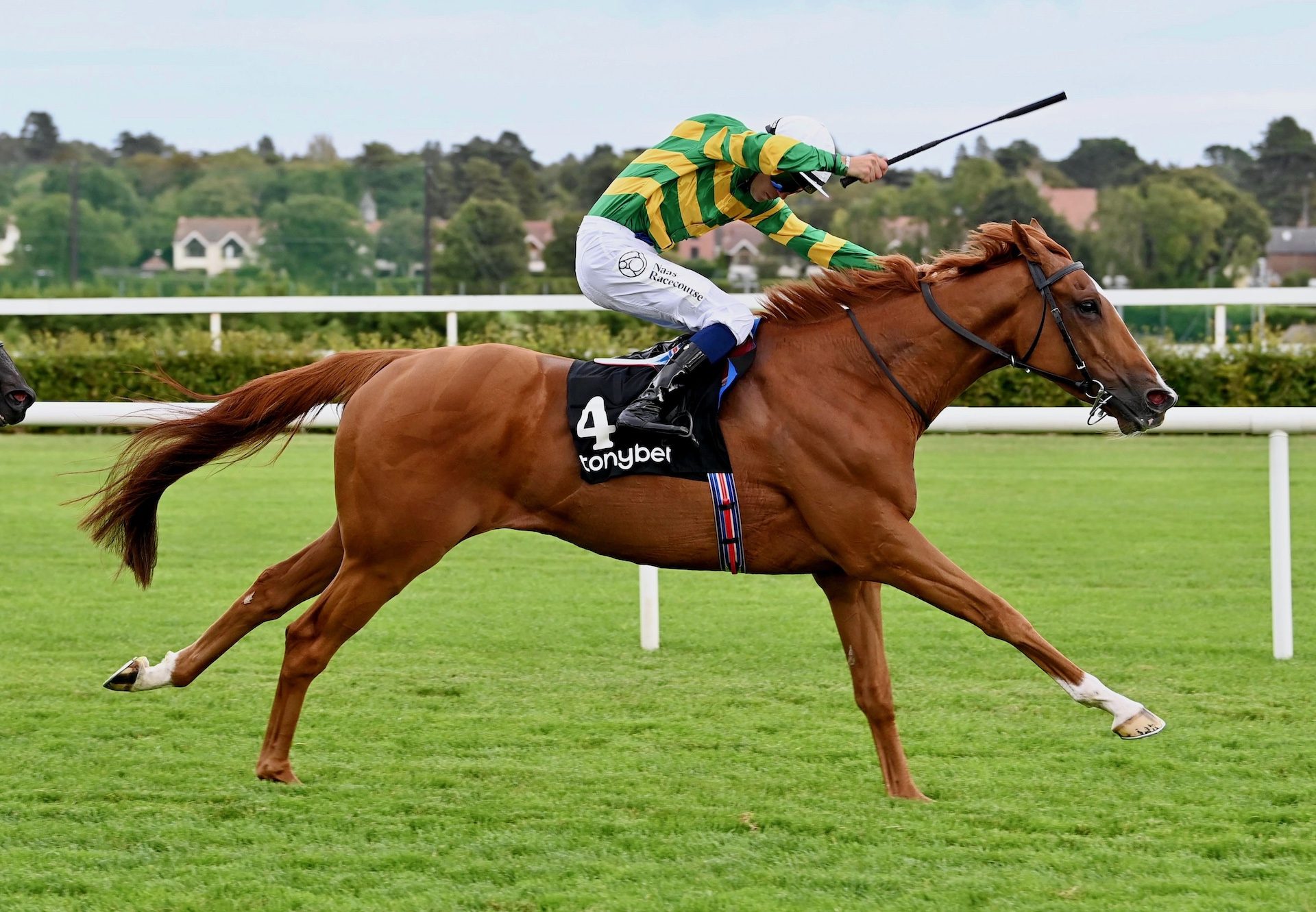 Trustyourinstinct (Churchill) Wins The Group 3 Tonybet Stakes At Leopardstown