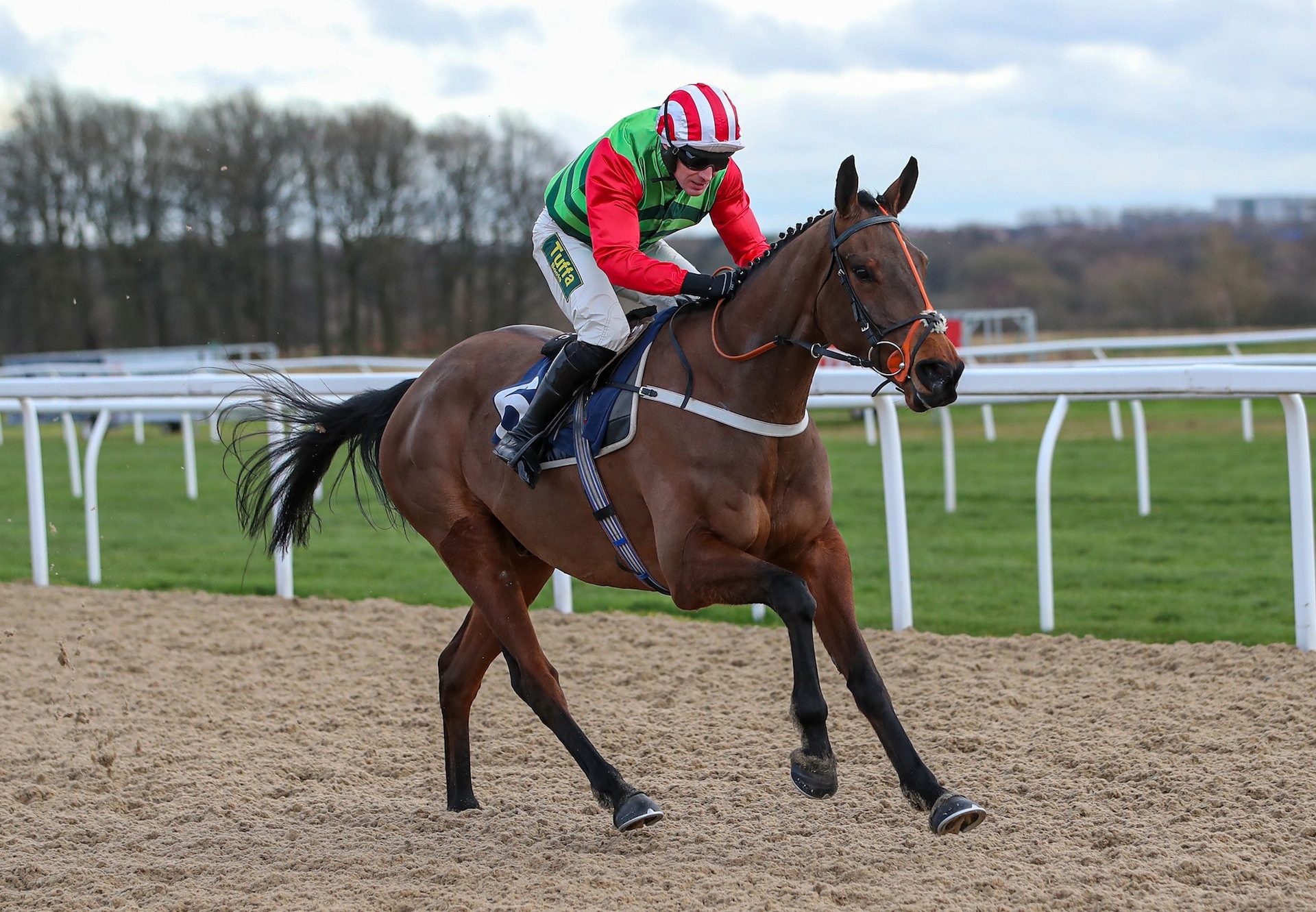 Tupelo Mississippi (Yeats) Wins Bumper At Newcastle