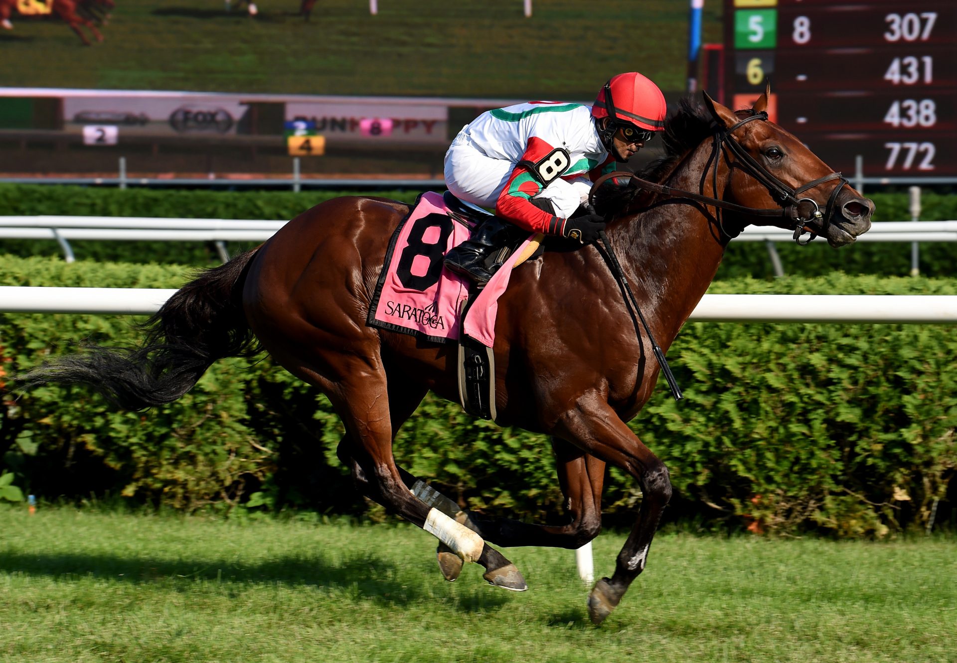 Turned Aside (American Pharoah) Wins Gr.3 Quick Call Stakes At Saratoga