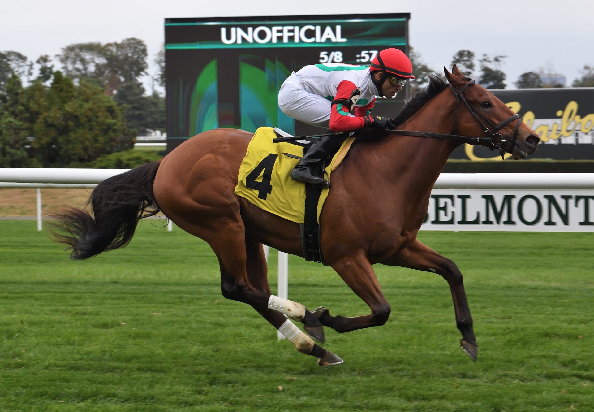 Turned Aside (American Pharoah) winning his maiden at Belmont Park