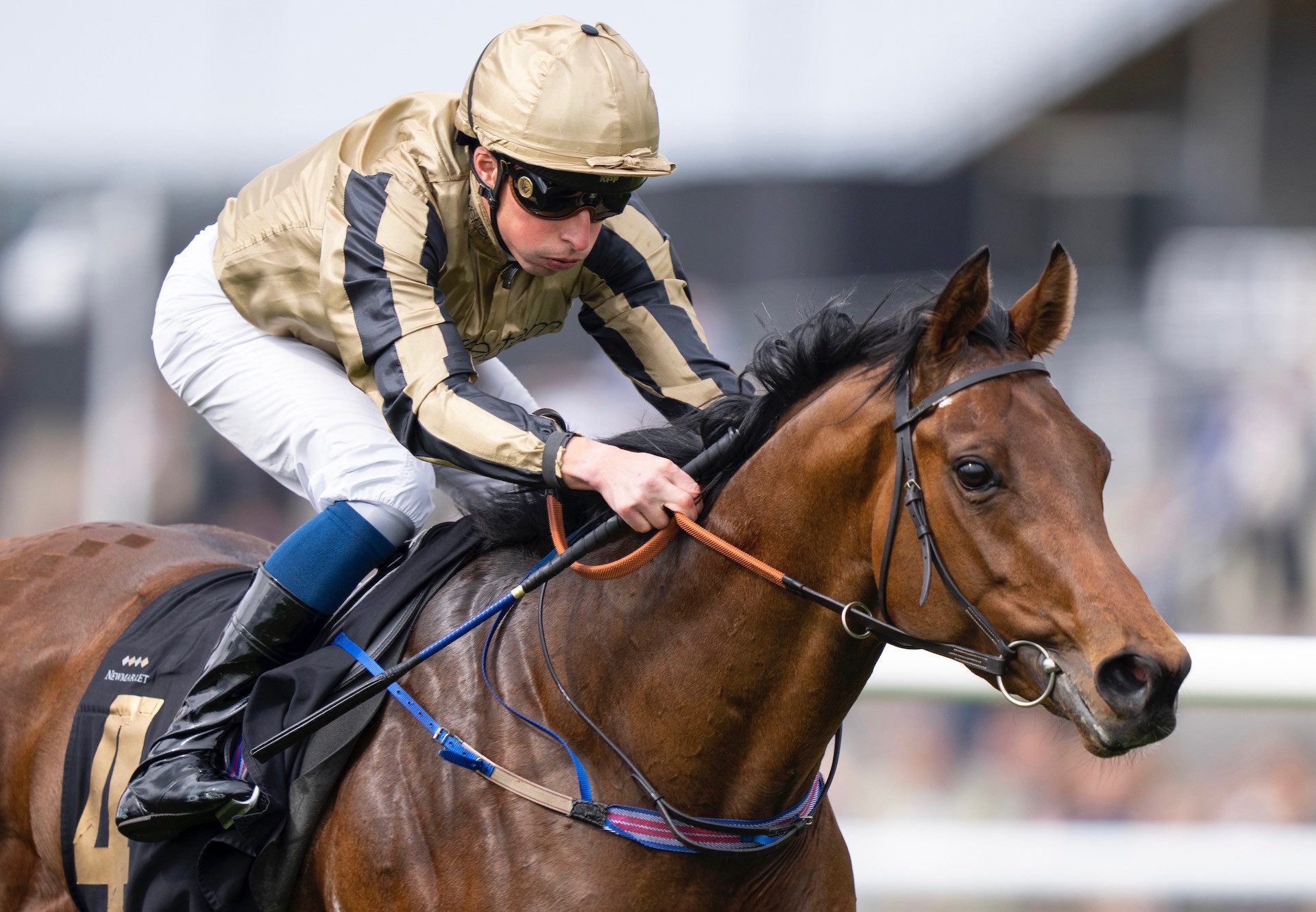 Tuscan (Churchill) Wins The Conditions Stakes At Newmarket