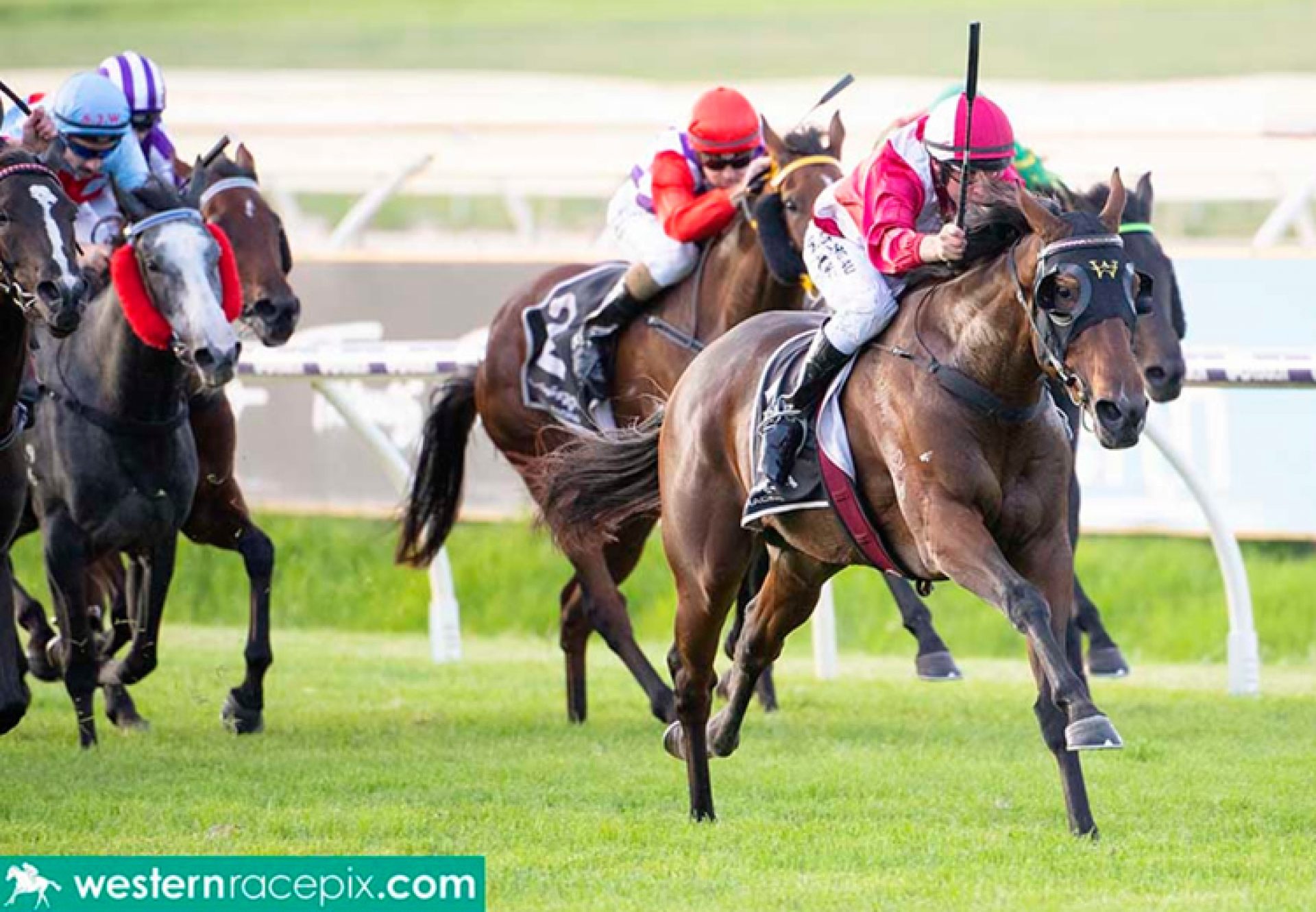 Tuscan Queen (Fastnet Rock) wins the Gr.3 West Australian Oaks at Ascot