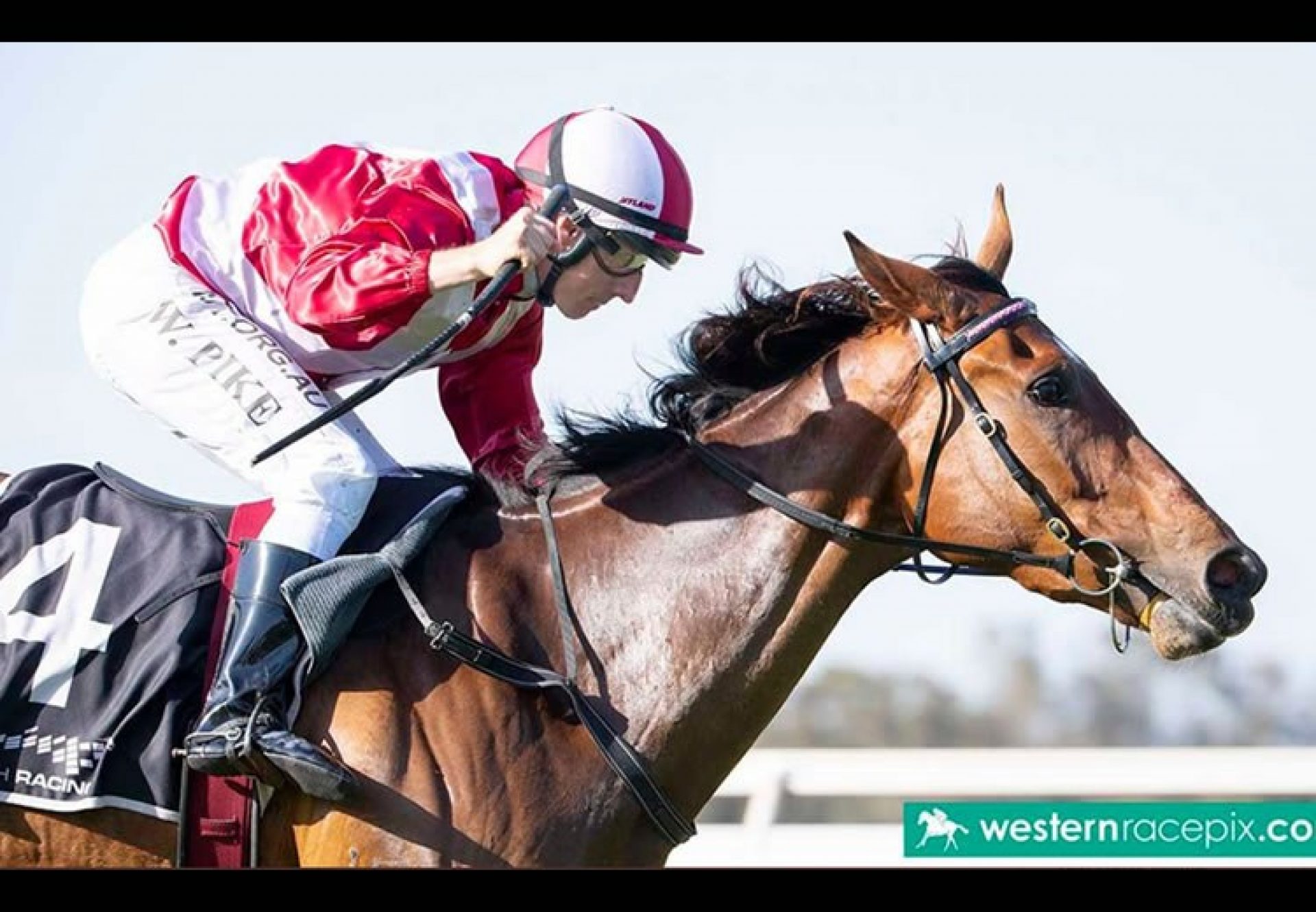 Tuscan Queen (Fastnet Rock) winning the Gr.3 Champion Fillies Stakes at Ascot