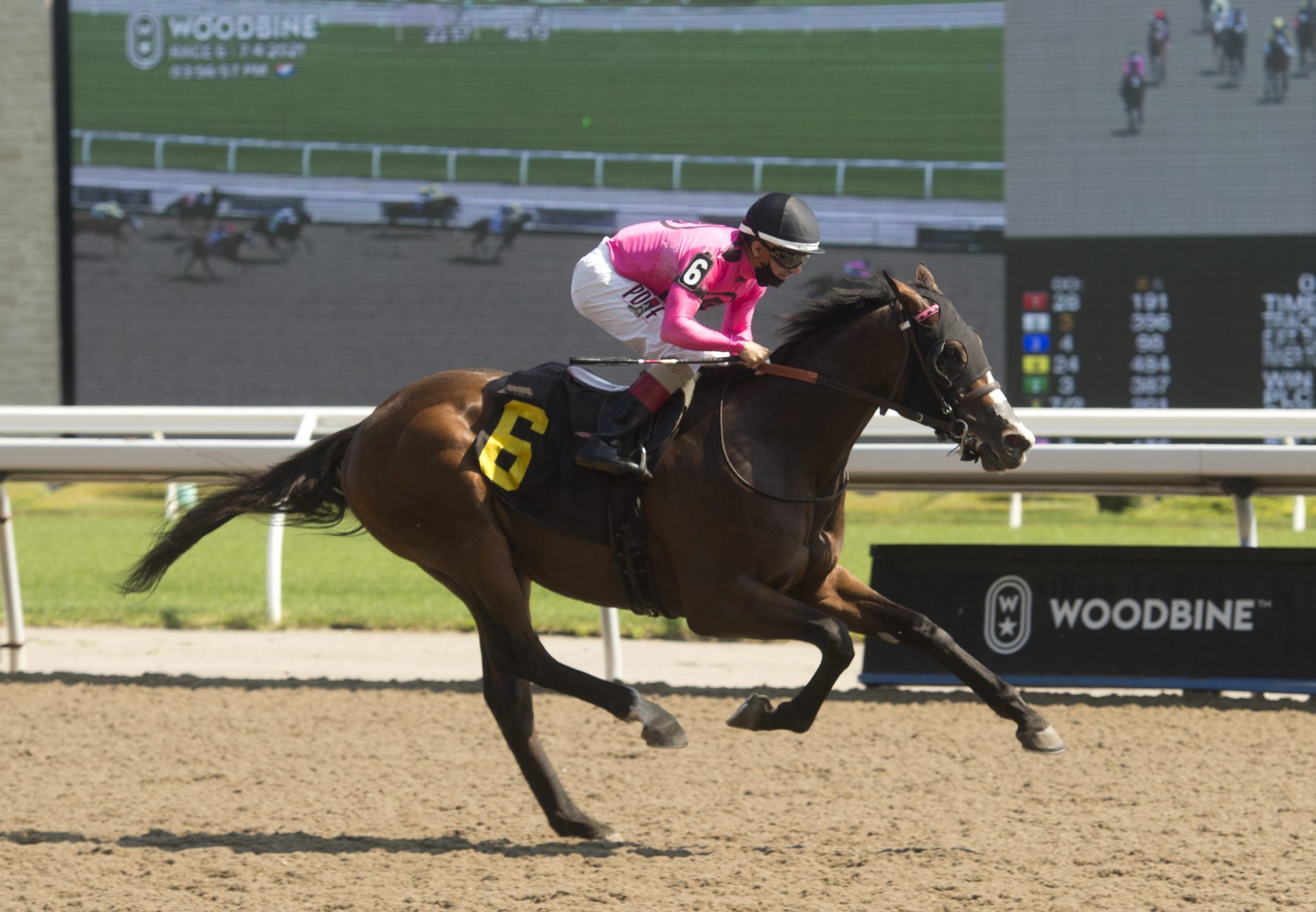 Twenty Four Mamba (Classic Empire) winning at Woodbine