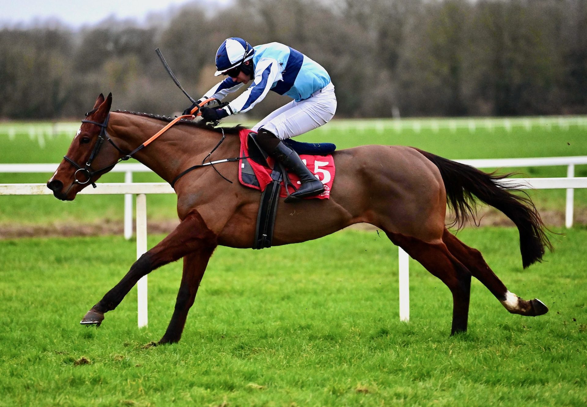 Ufouria Wins The Mares Bumper At Cork