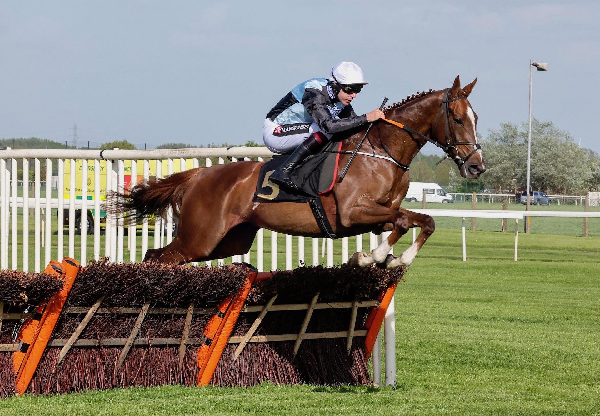 Ukantango (Ocovango) Wins At Aintree