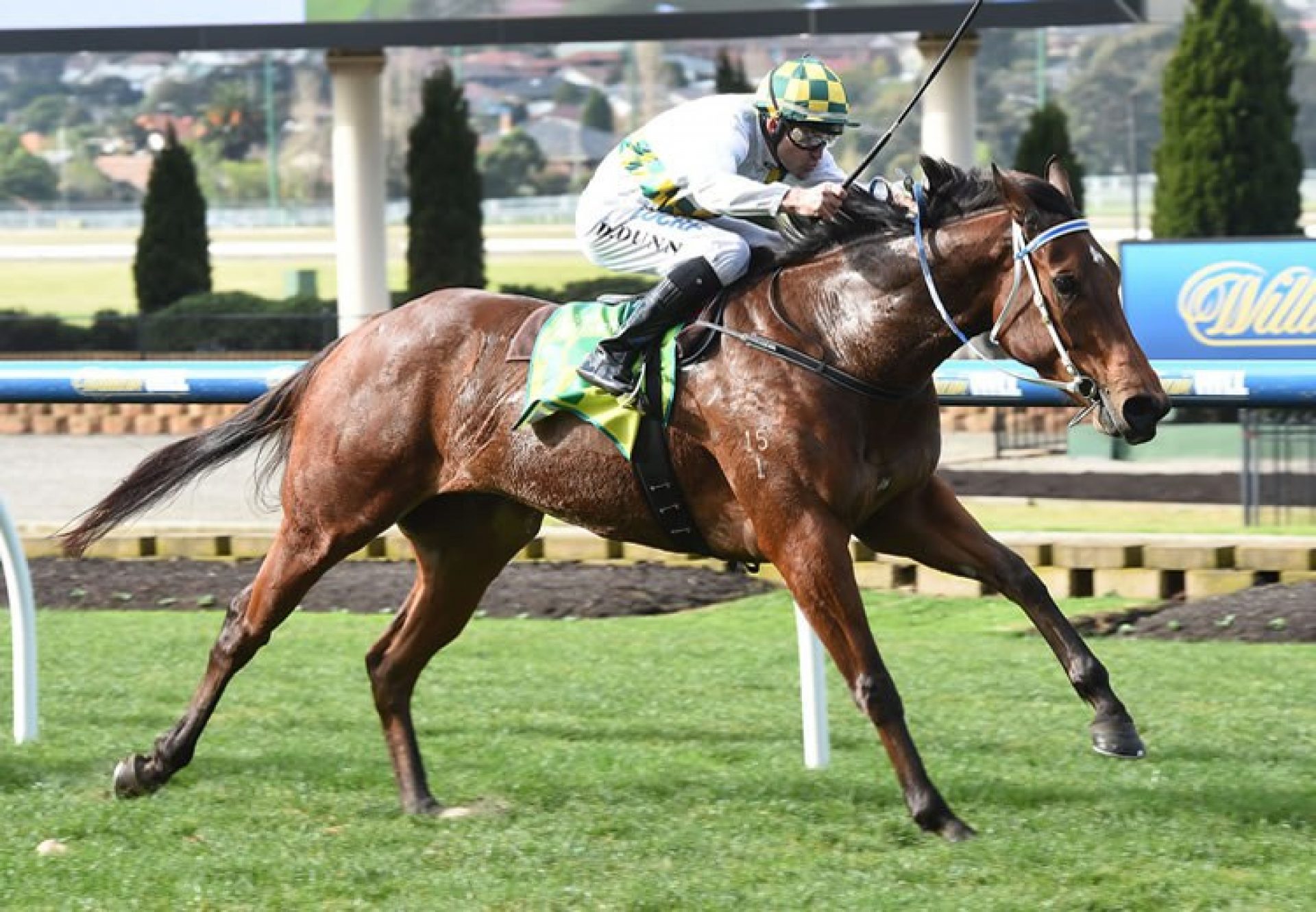 Unassasiled (Fastnet Rock) winning at Moonee Valley