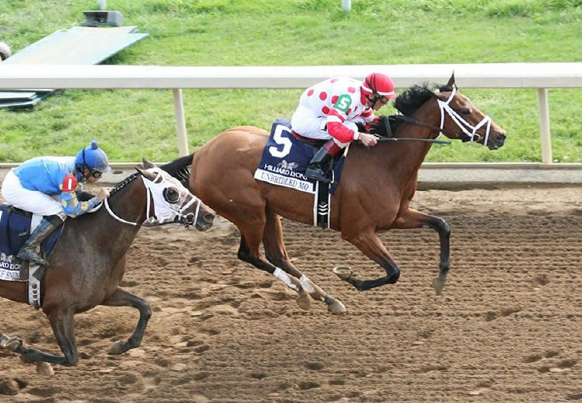 Unbridled Mo (Uncle Mo) G1 Apple Blossom Handicap at Oaklawn