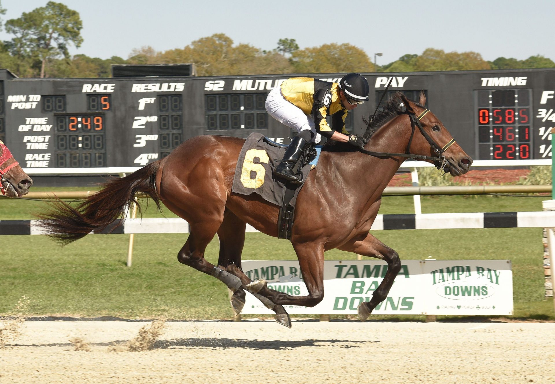 Uncle Bud (Uncle Mo) Tampa Maiden Win