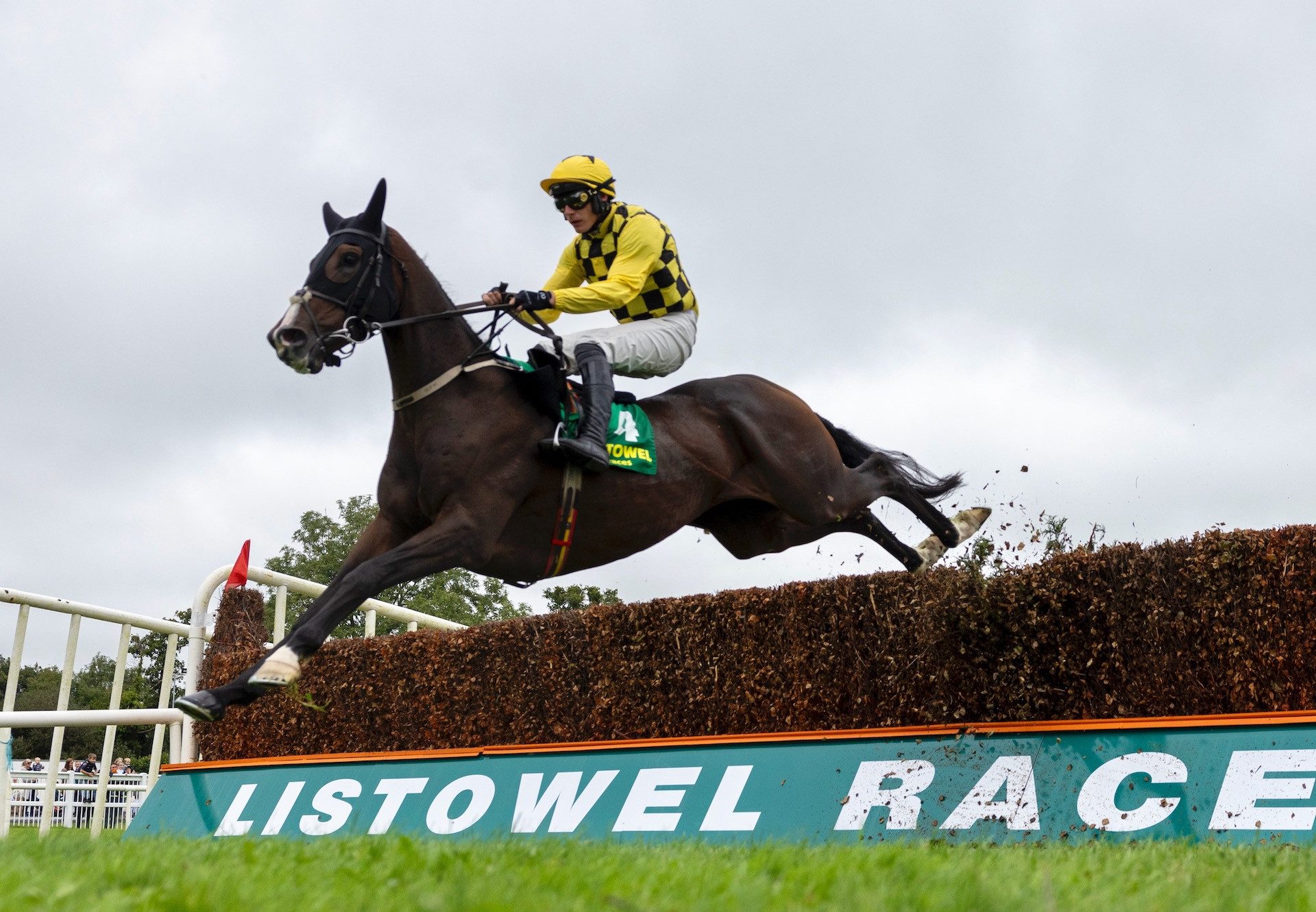 Uncle Phil (Walk In The Park) Wins The Rated Novice Chase At Listowel