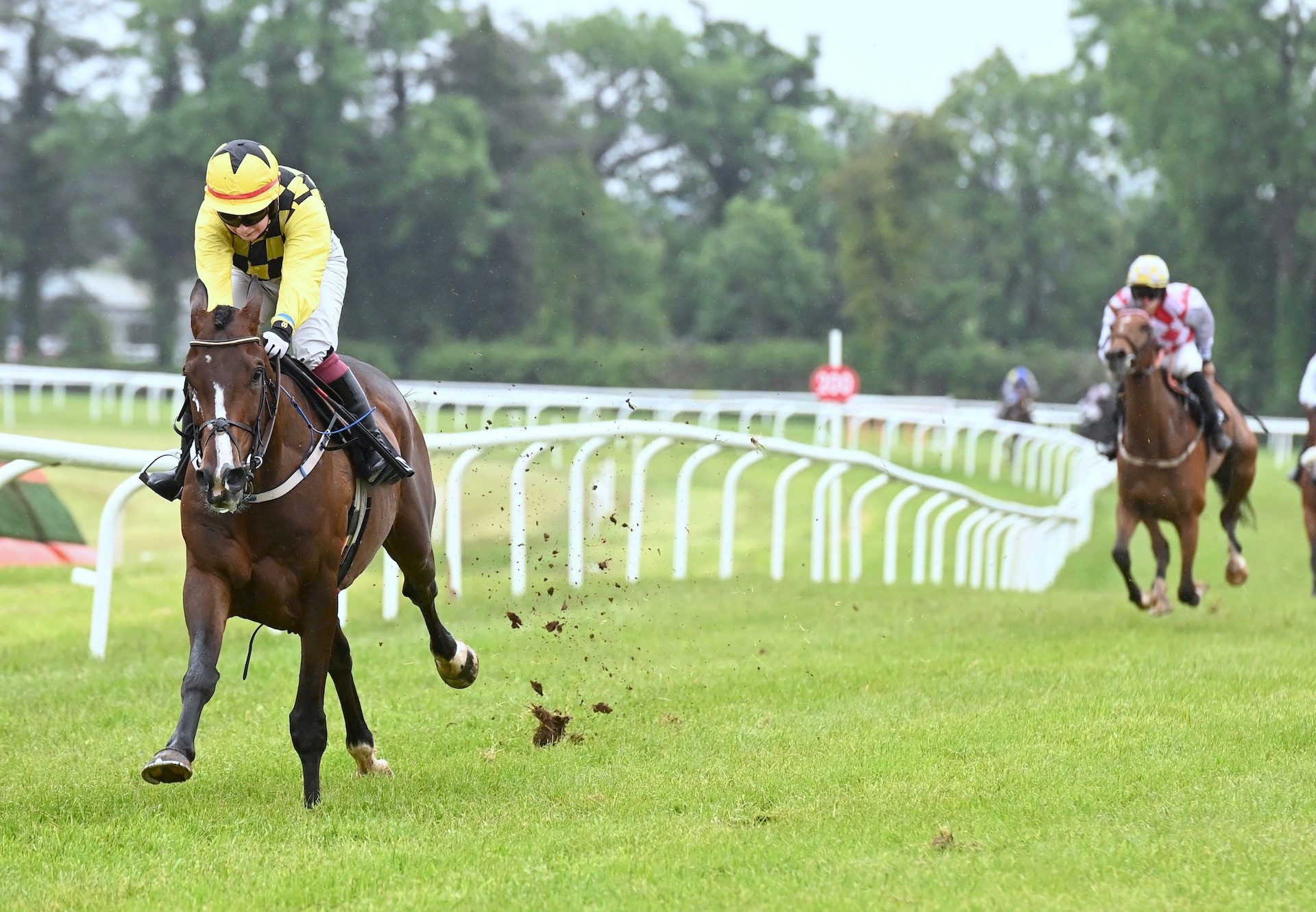 Uncle Phil (Walk In The Park) Wins The Bumper At Kilbeggan