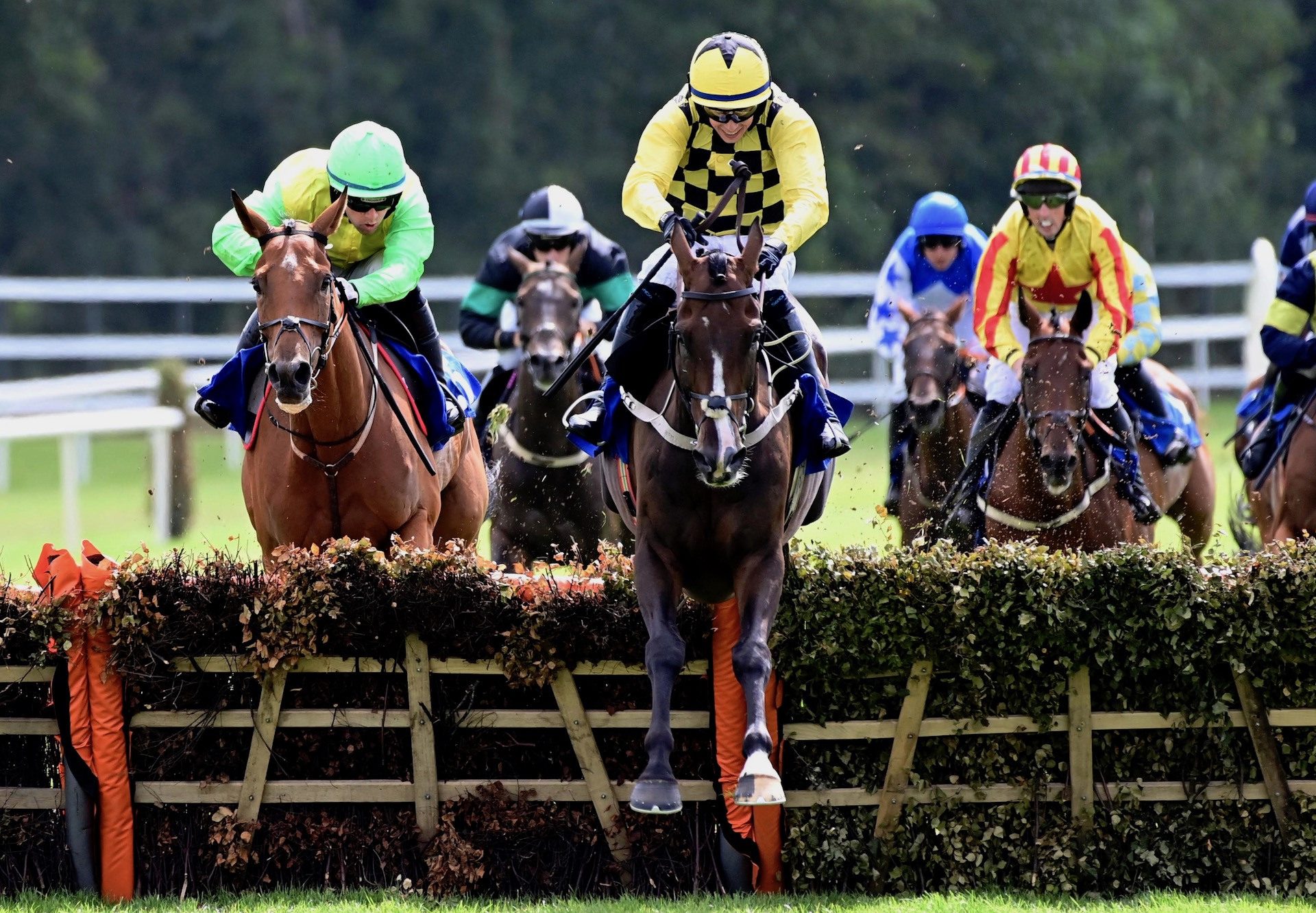 Uncle Phil (Walk In The Park) Wins The Maiden Hurdle At Killarney