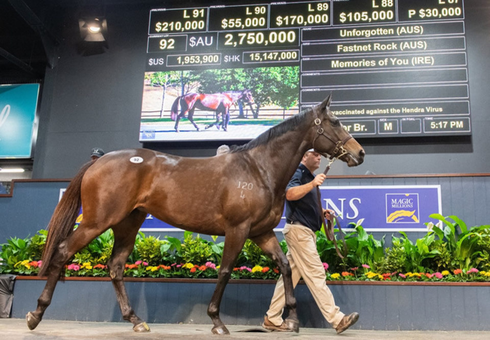Unforgotten (Fastnet Rock) selling for $2.75 million at the Magic Millions National Sale