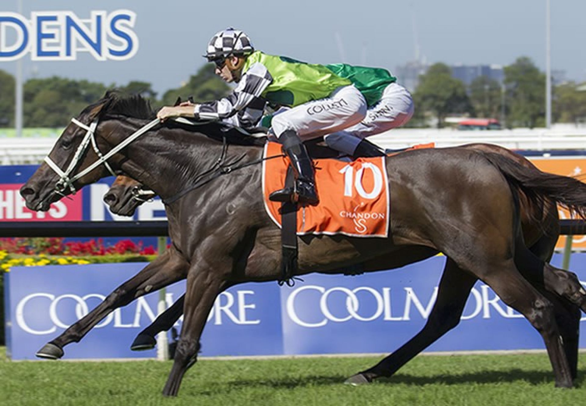 Unforgotten (Fastnet Rock) winning the G2 Phar Lap Stakes at Rosehill