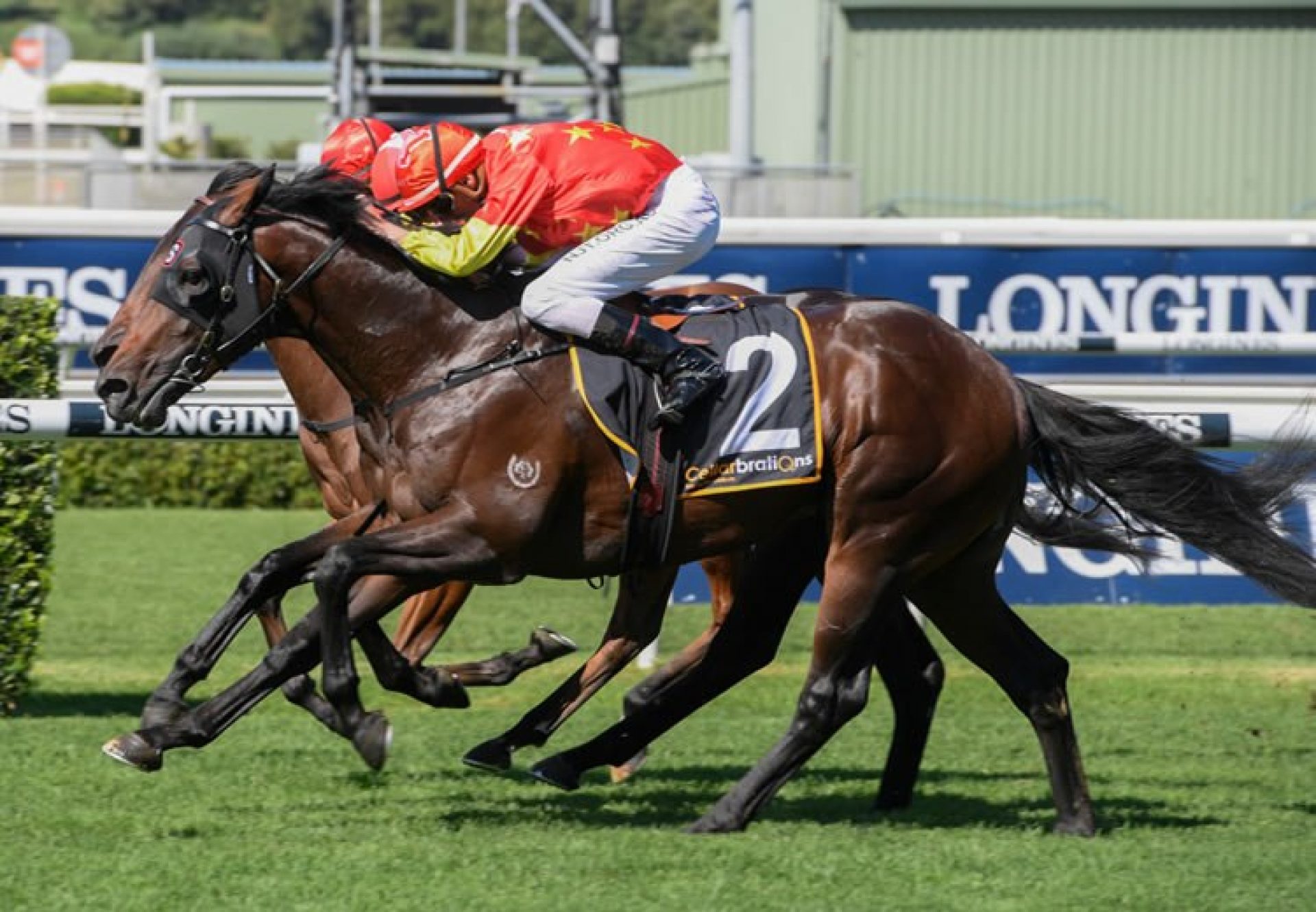 Untamed (Pierro) winning the Listed Fernhill Mile at Randwick