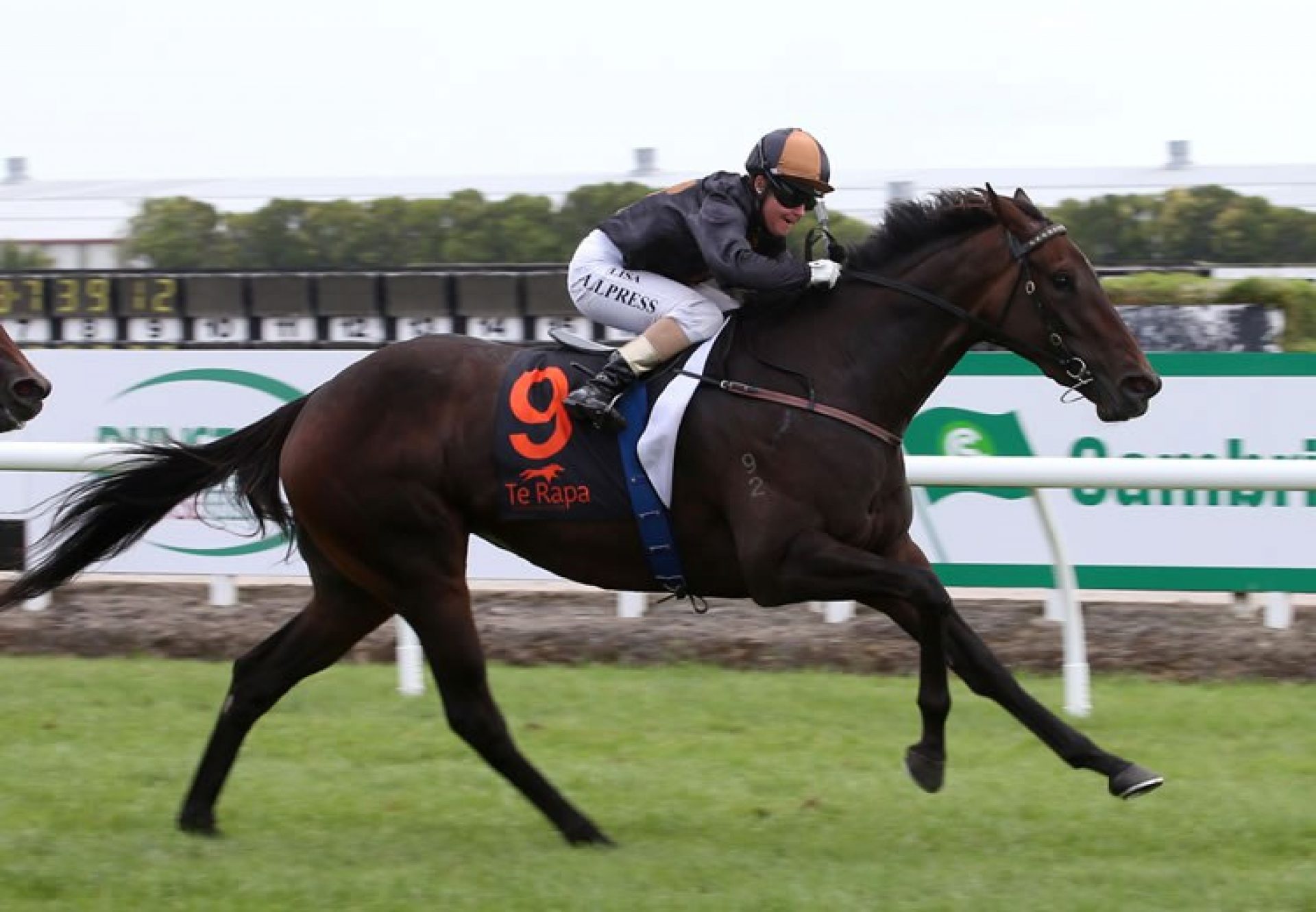 Valley Girl (Mastercraftsman) winning the G1 Herbie Dyke Stakes at Te Rapa