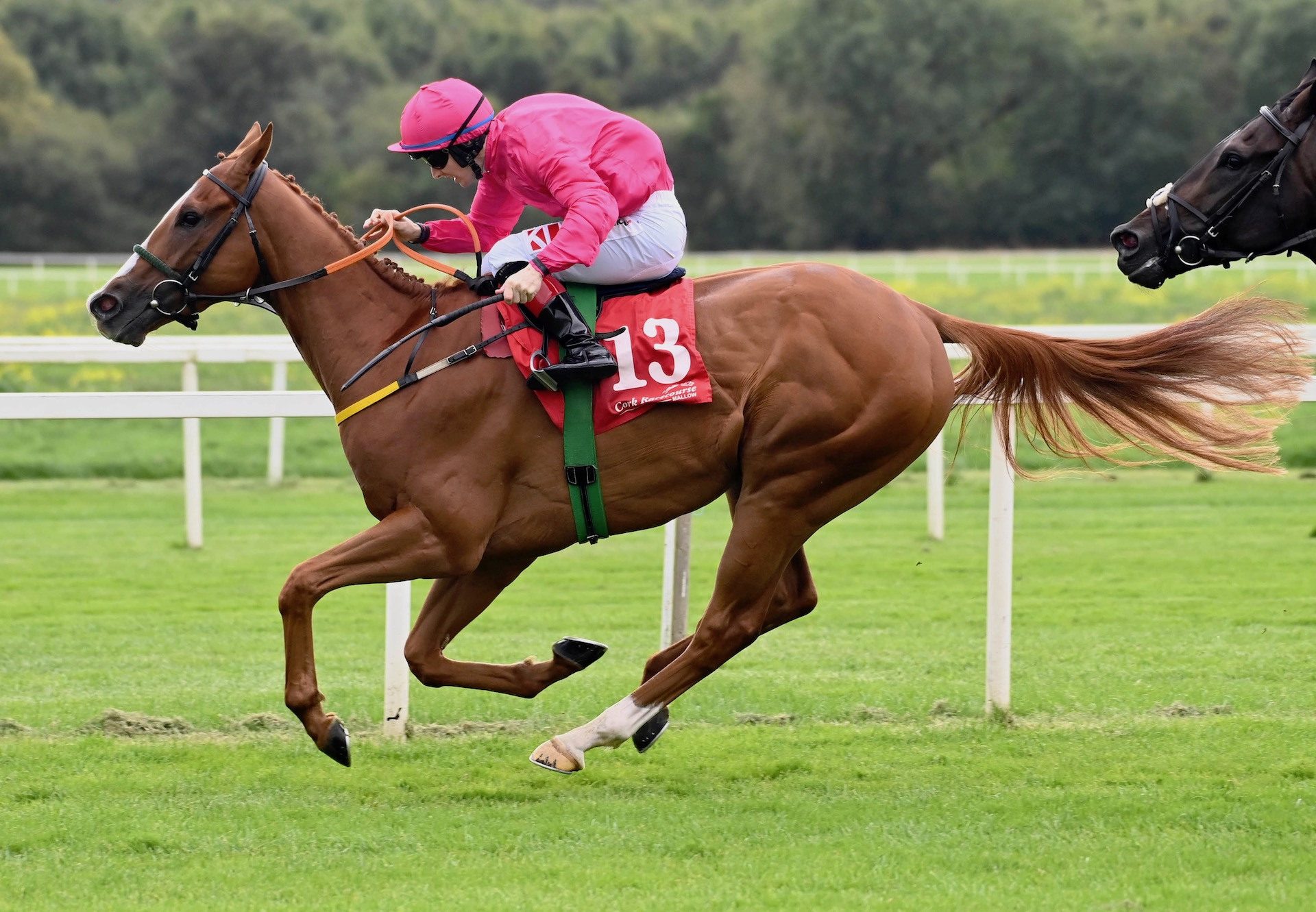 Van Demon (Australia) Wins His Maiden At Cork