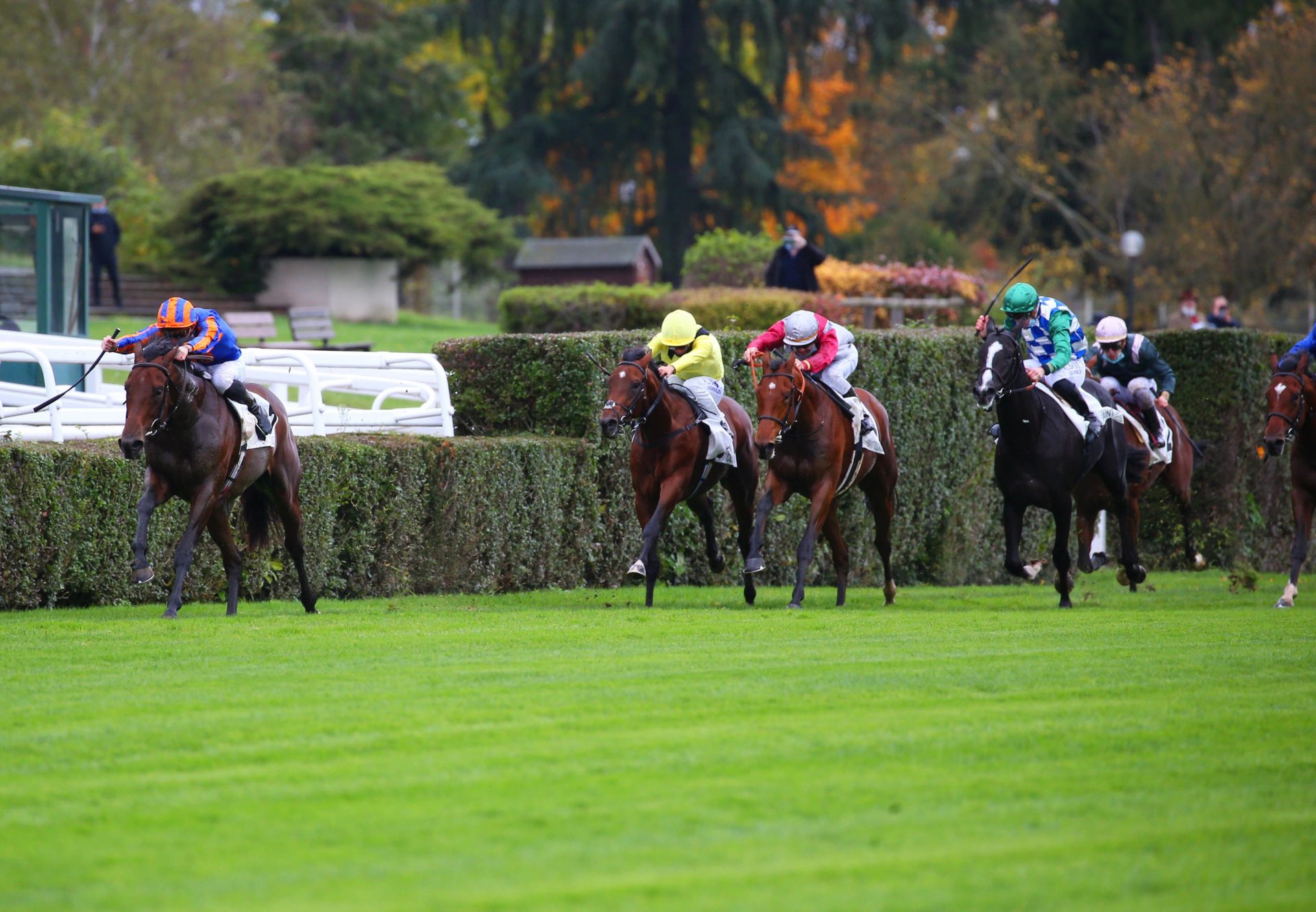 Van Gogh (American Pharoah) Wins Gr.1 Criterium International at Saint-Cloud