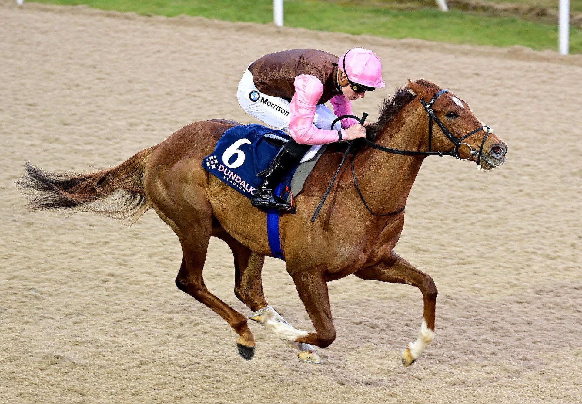 Vanguard Star (Starspangledbanner) Wins His Maiden At Dundalk