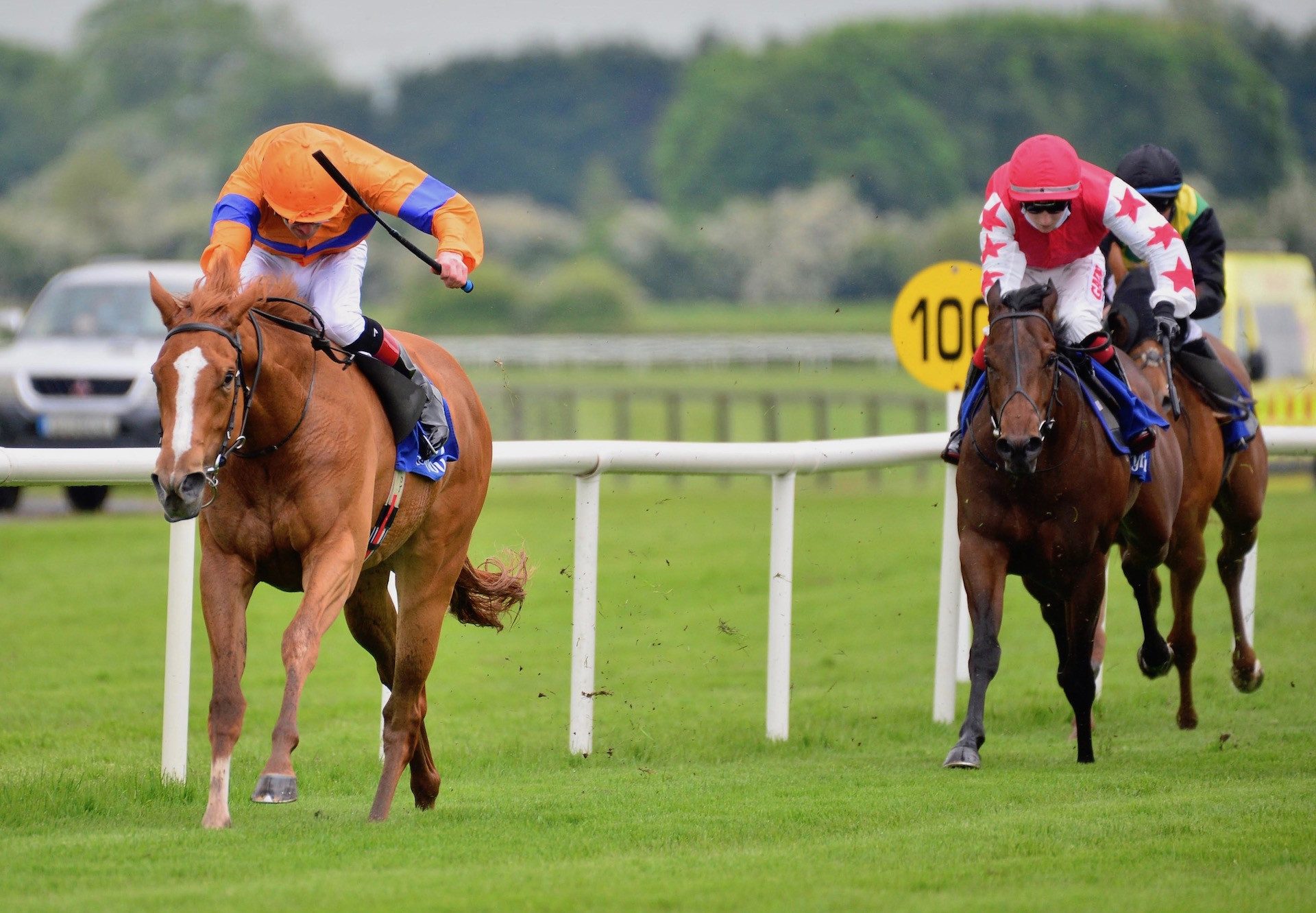 Velocidad (Gleneagles) Makes A Winning Debut At Fairyhouse