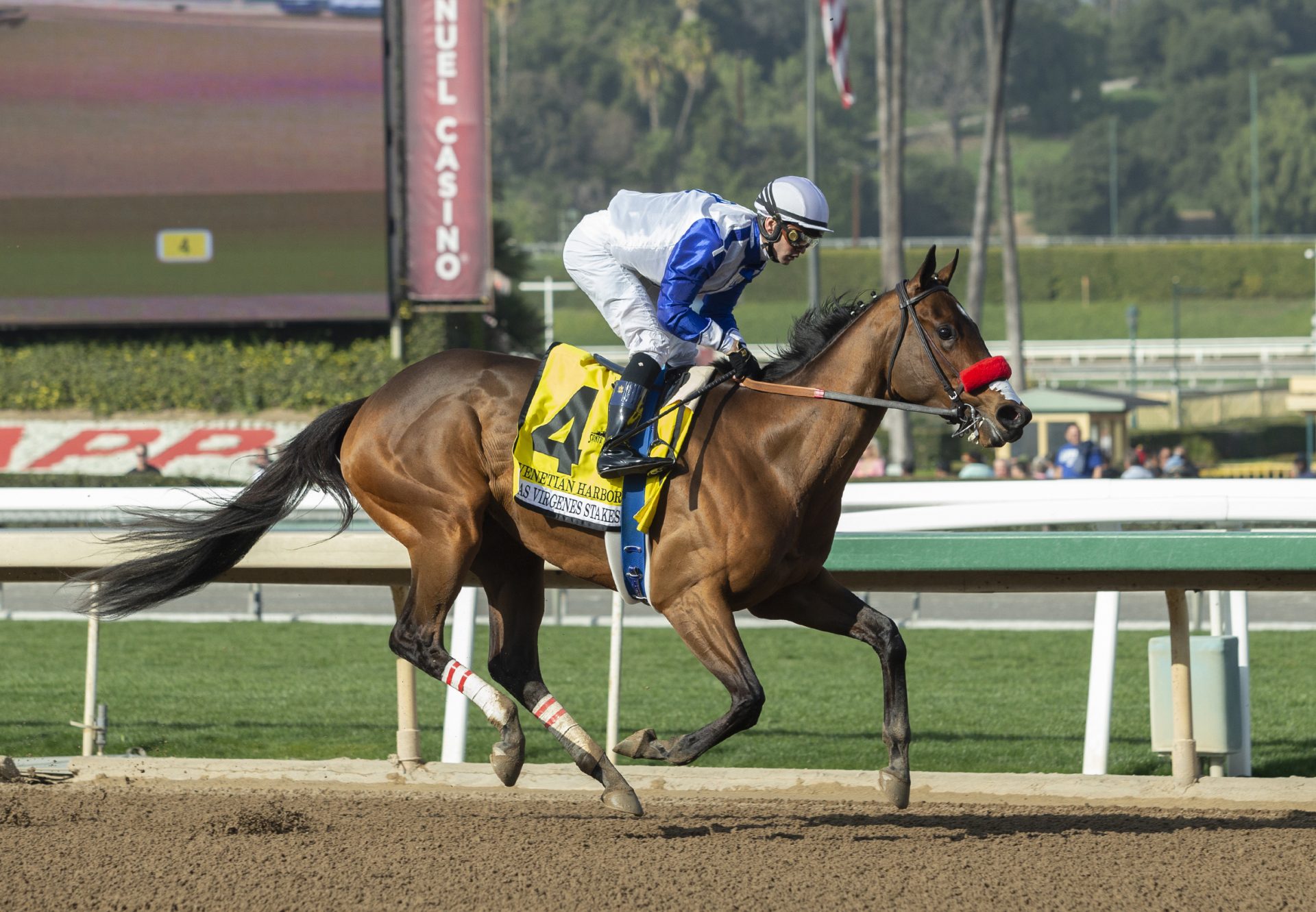 Venetian Harbor (Munnings) Wins G2 Las Virgenes Stakes at Santa Anita