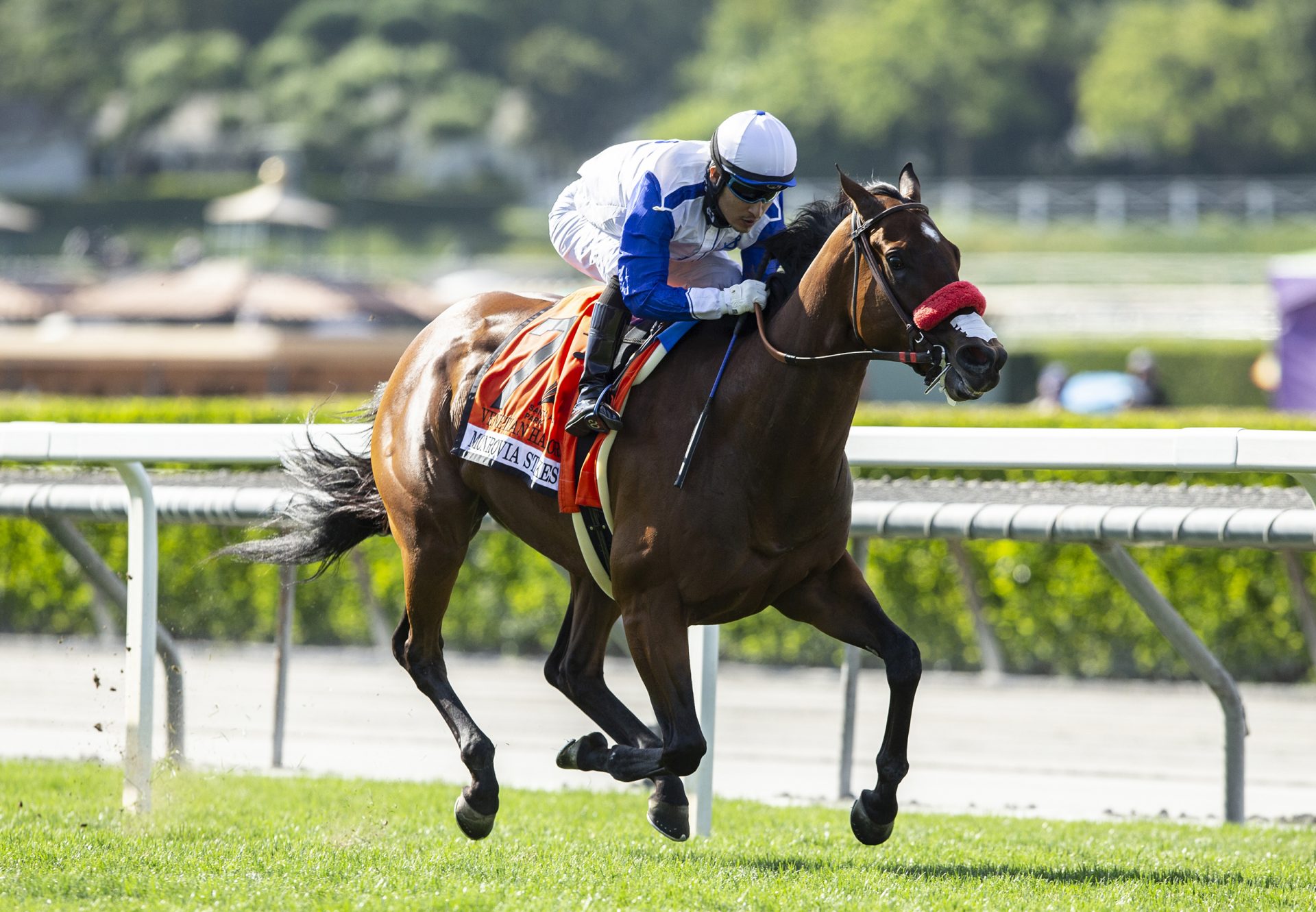 Venetian Harbor (Munnings) Wins Gr.2 Monrovia Stakes at Santa Anita