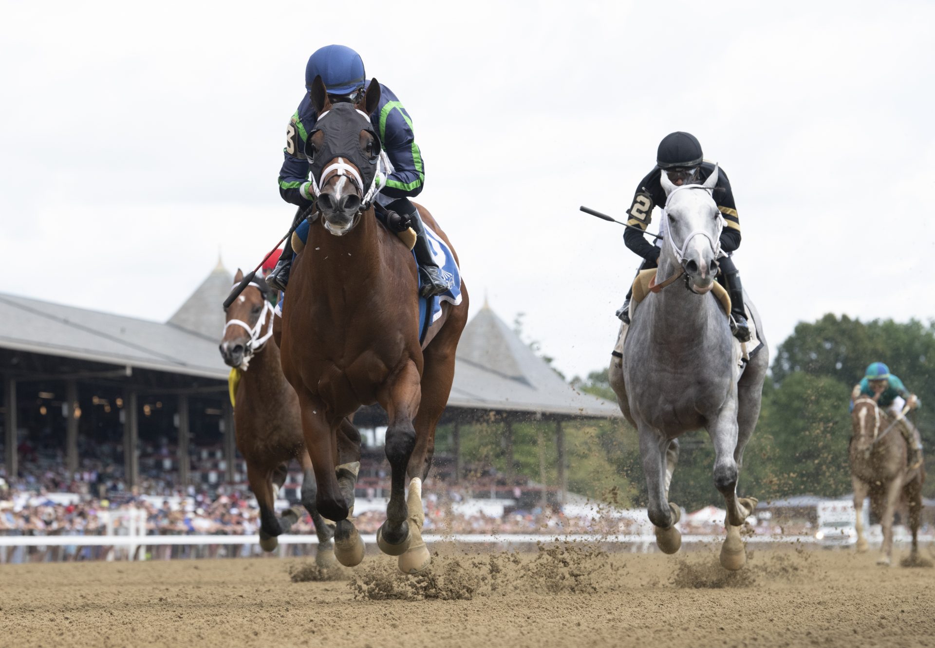 Verifying (Justify) Wins Saratoga MSW