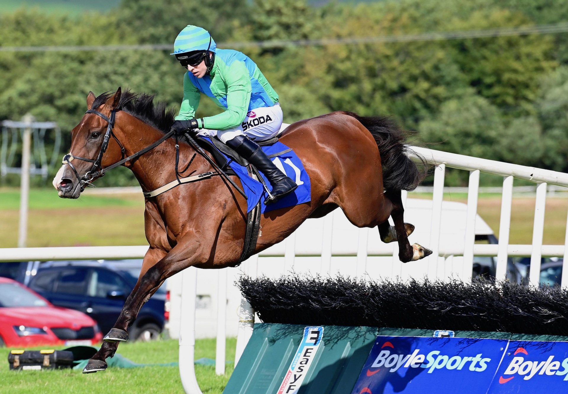 Via Rosa (Milan) Wins The Mares Maiden Hurdle At Sligo