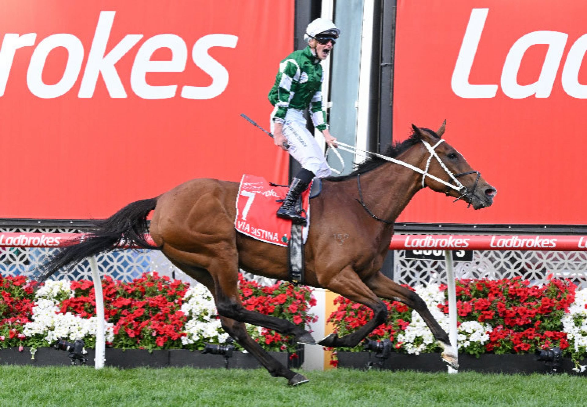 Via Sistina (Fastnet Rock) Cox Plate 750