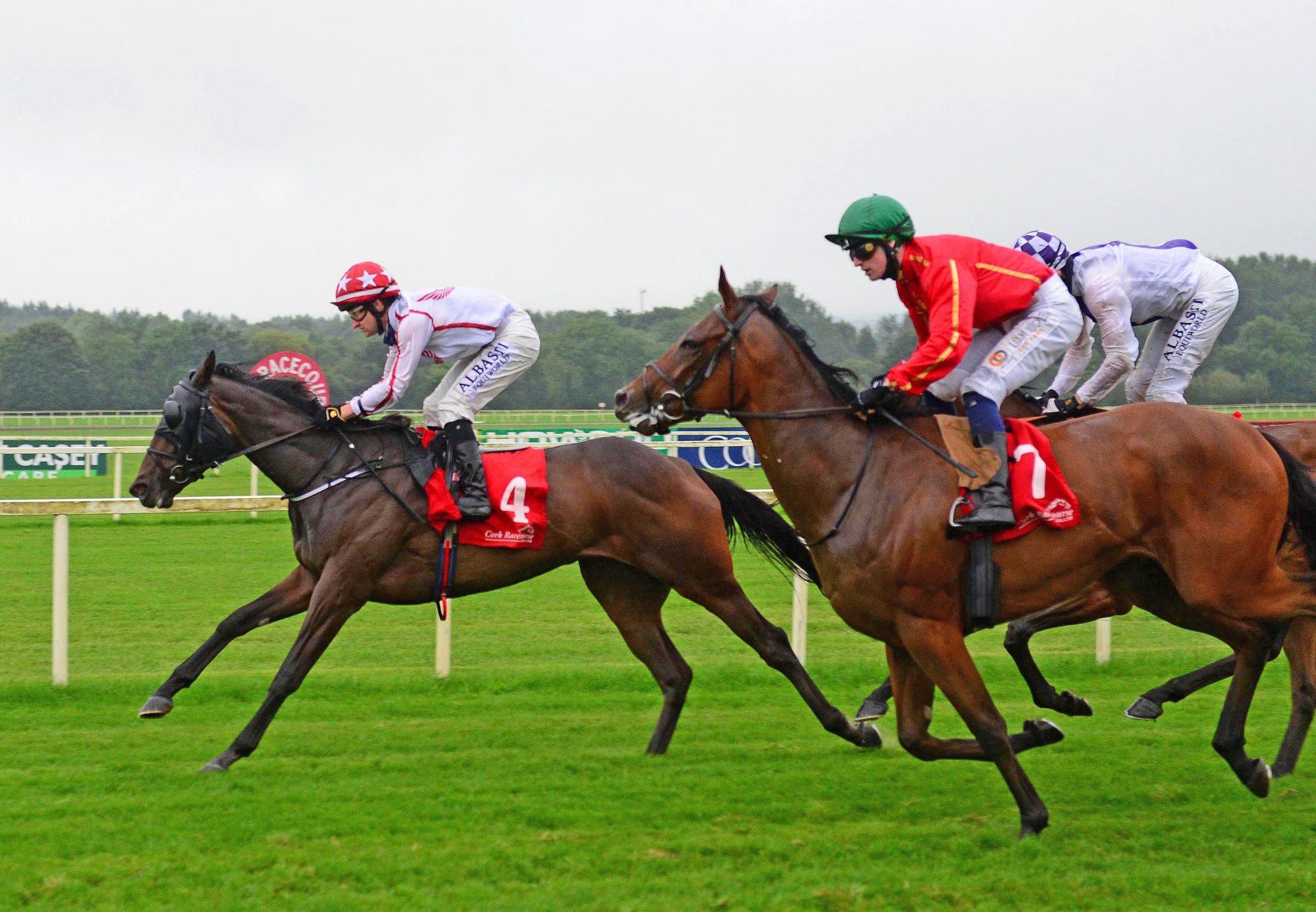 Viareggio (Caravaggio) Cork Maiden Win