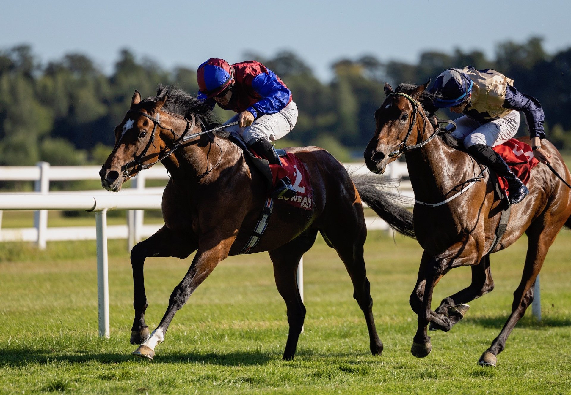 Victoria Road (Saxon Warrior) Wins His Maiden At Gowran Park