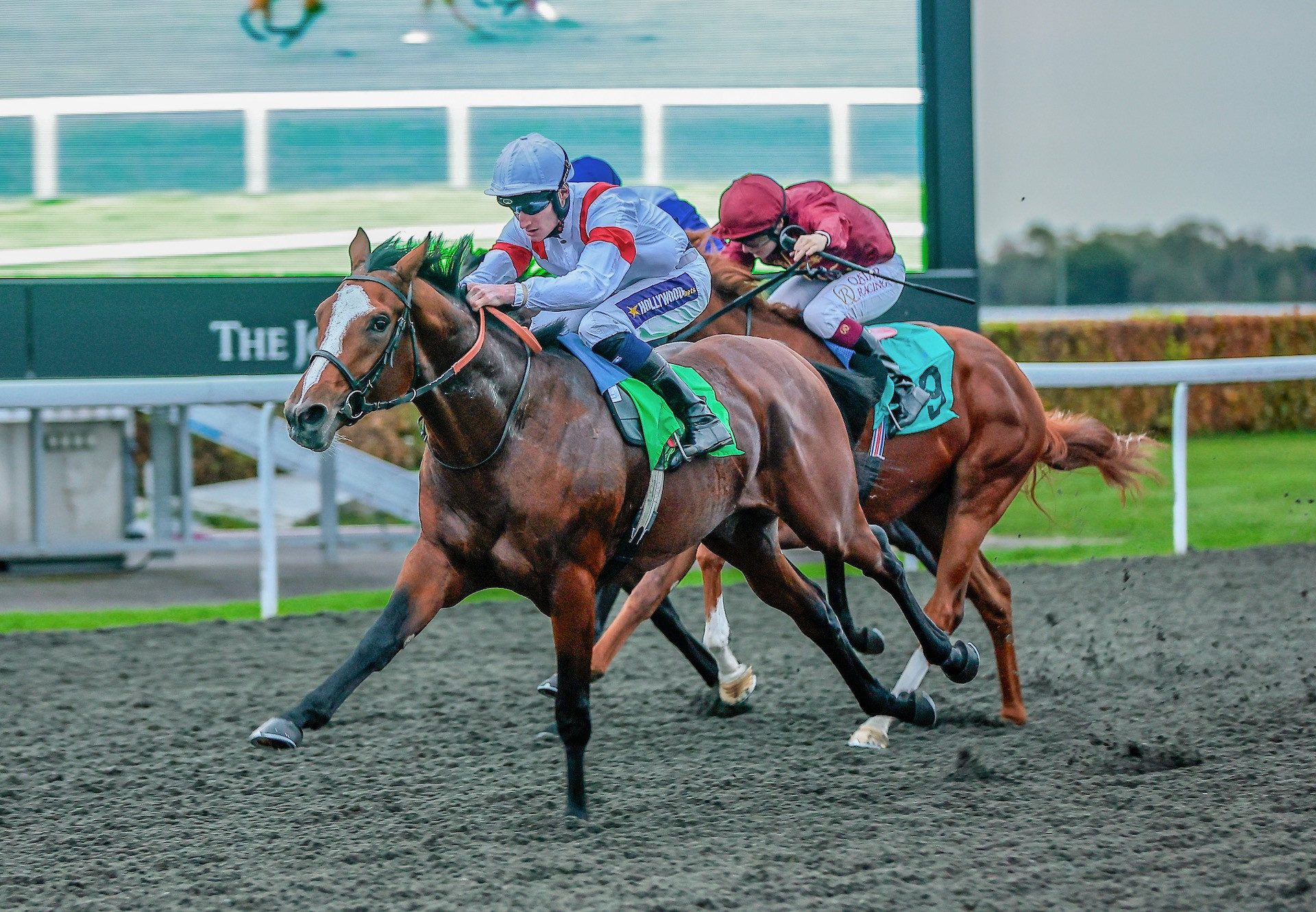 Village Legend (Australia) Wins His Maiden At Kempton