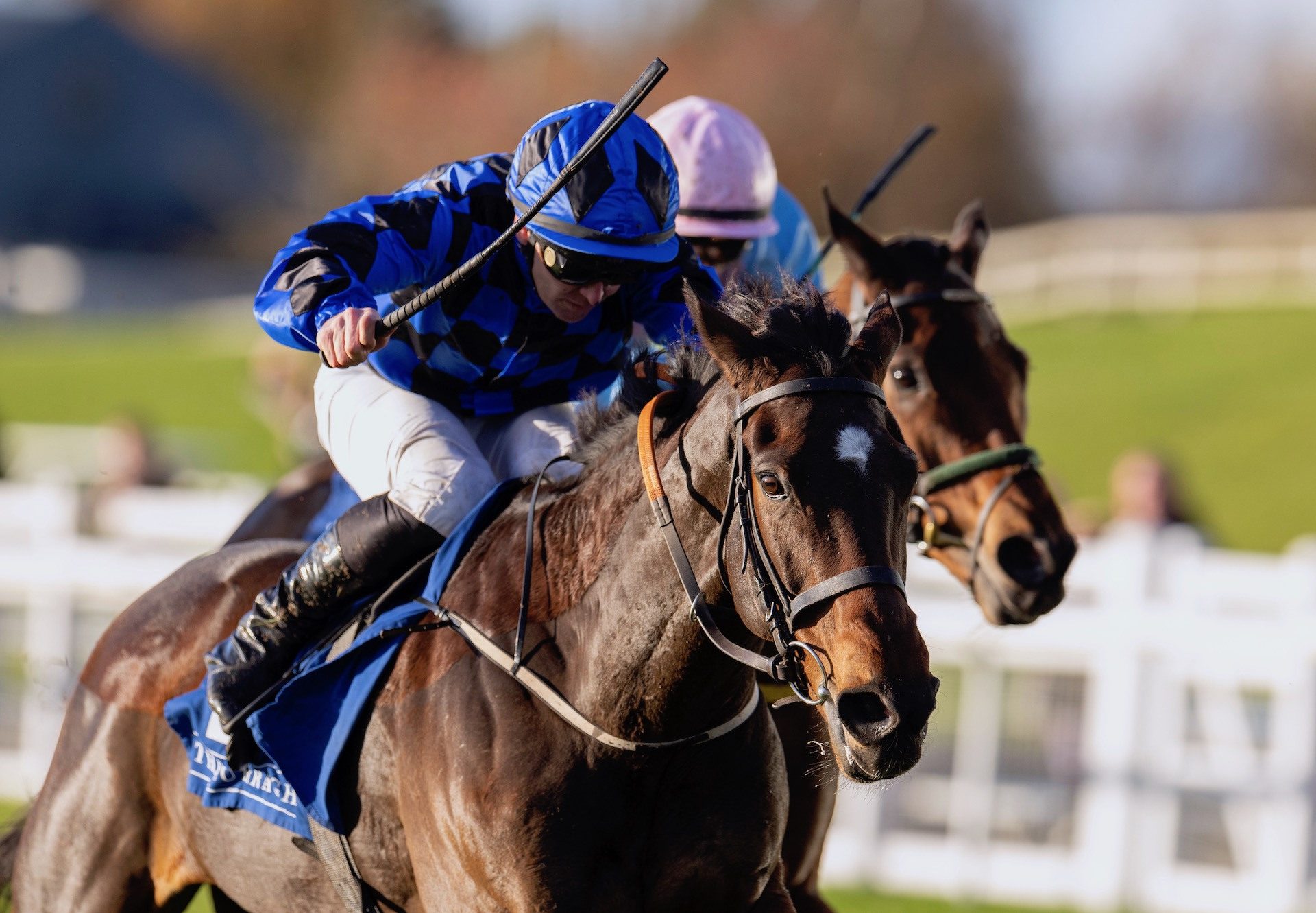 Vischio (Holy Roman Emperor) Wins The Listed Finale Stakes At The Curragh