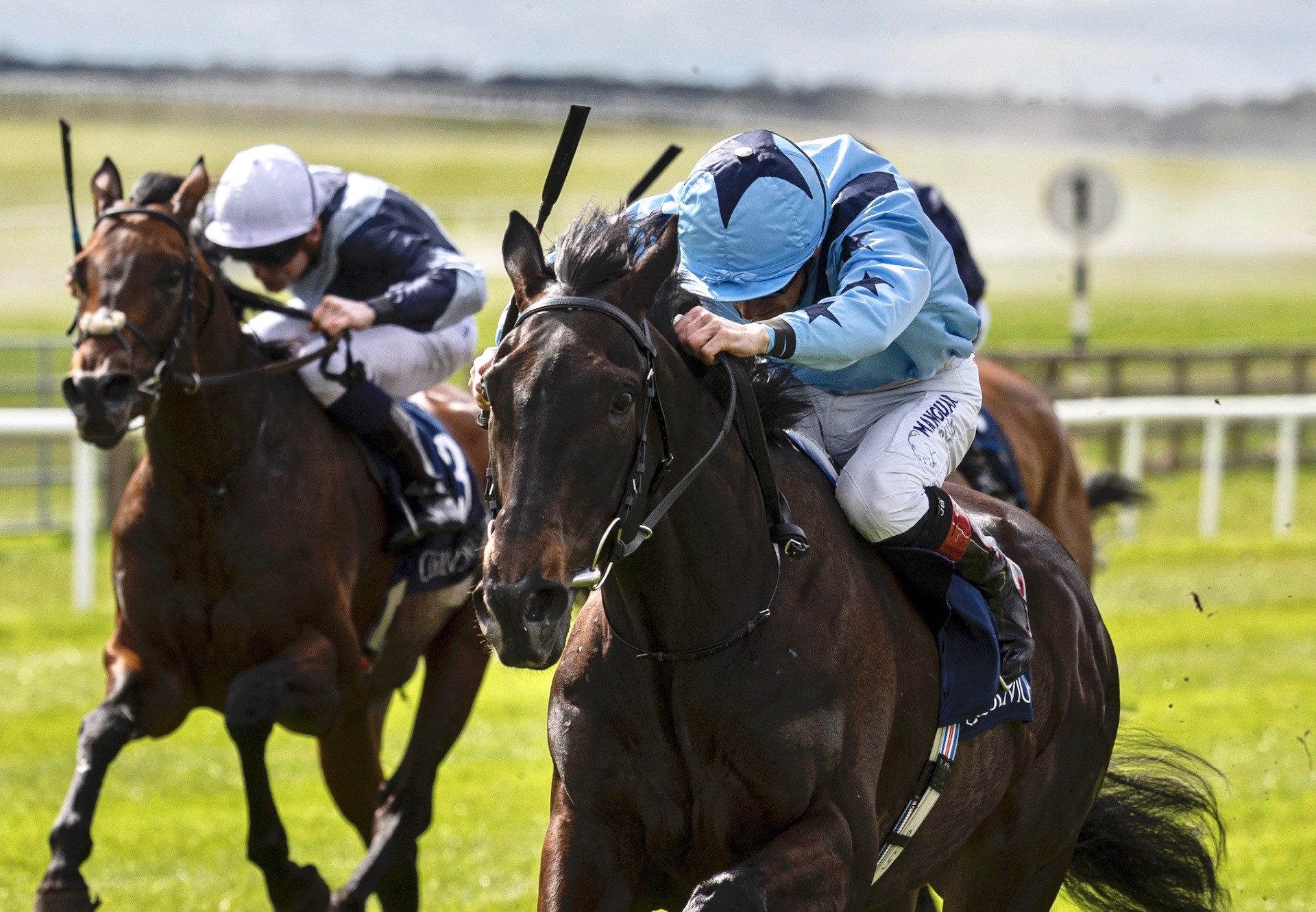 Visualisation (No Nay Never) Wins The Group 2 Mooresbridge Stakes at the Curragh