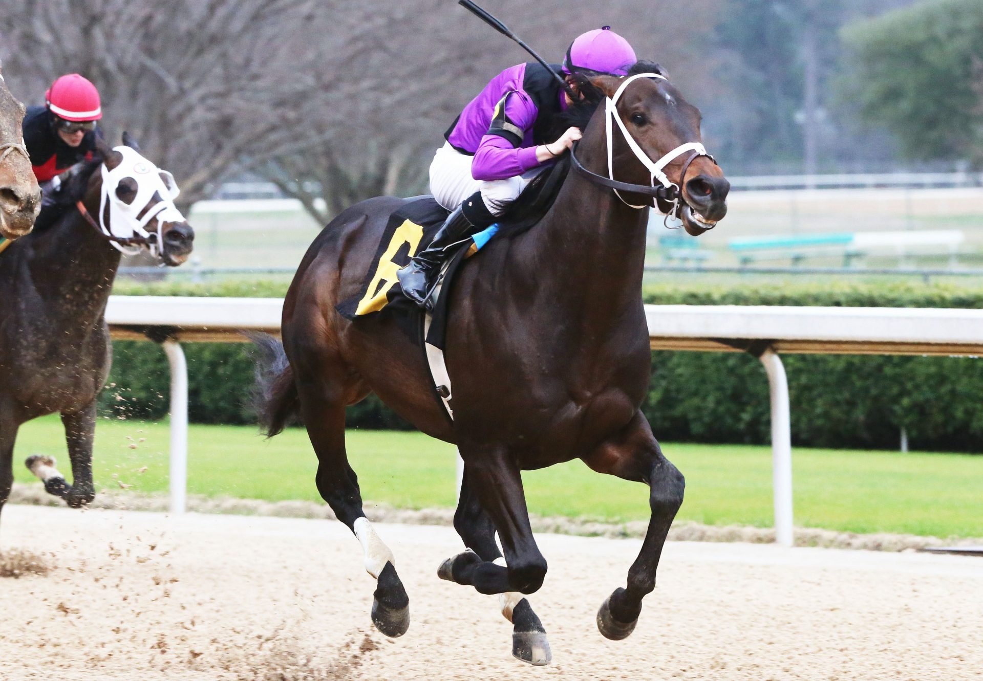 Warrior's Charge (Munnings) wins the Gr.3 Razorback Handicap